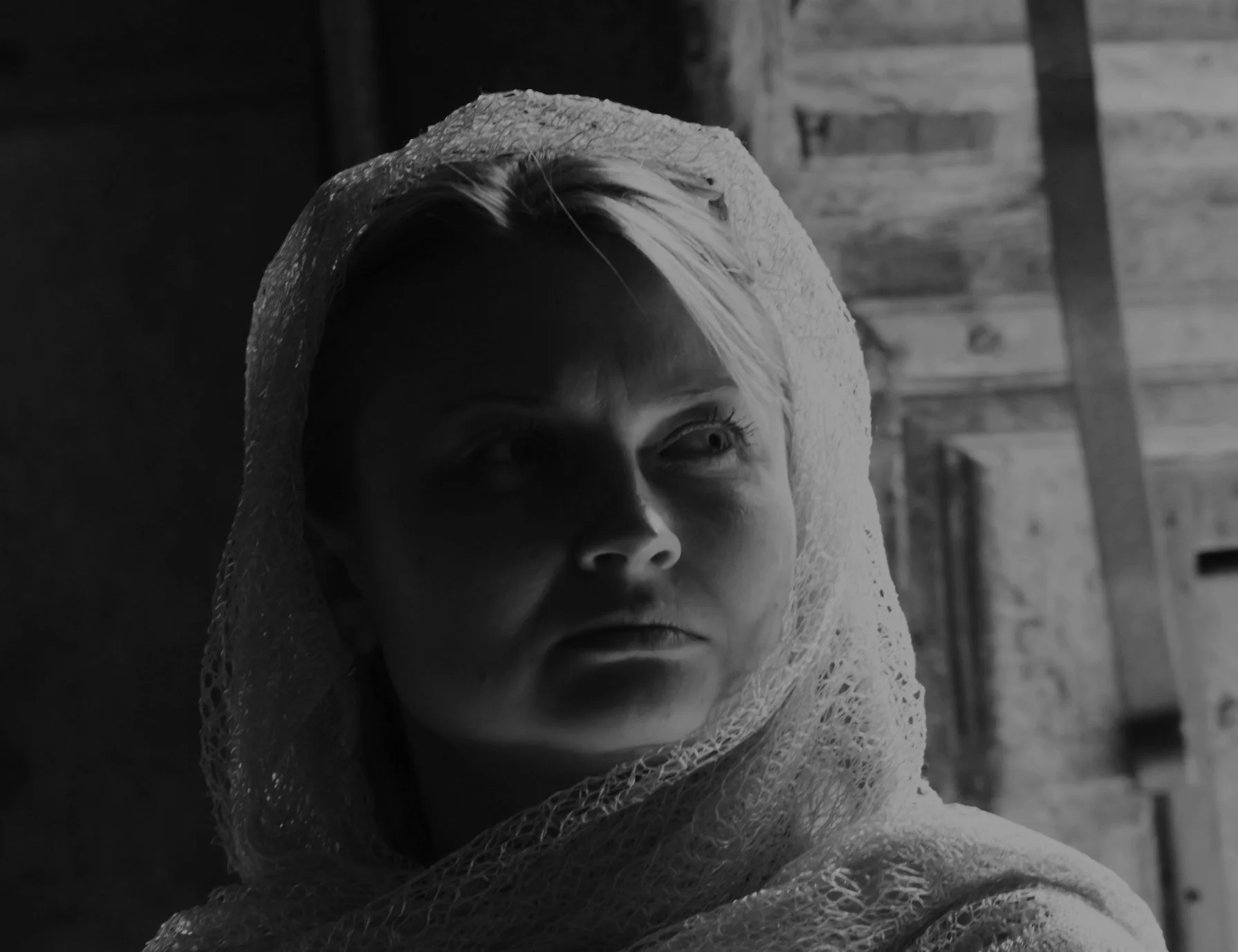 C14G17331.jpg
