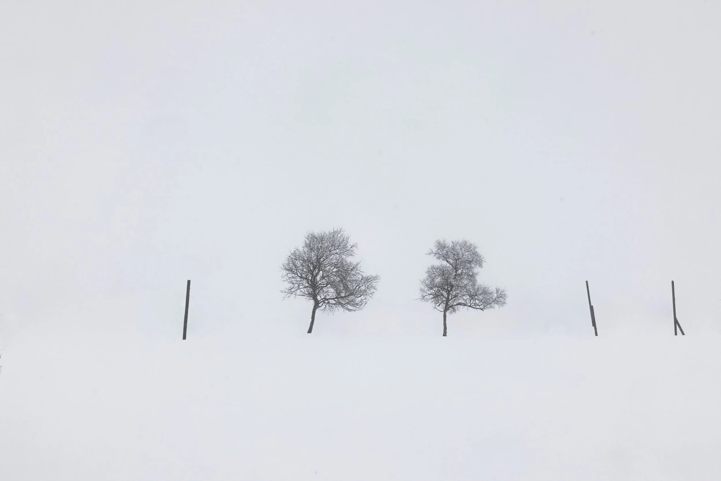 185A7331.jpg