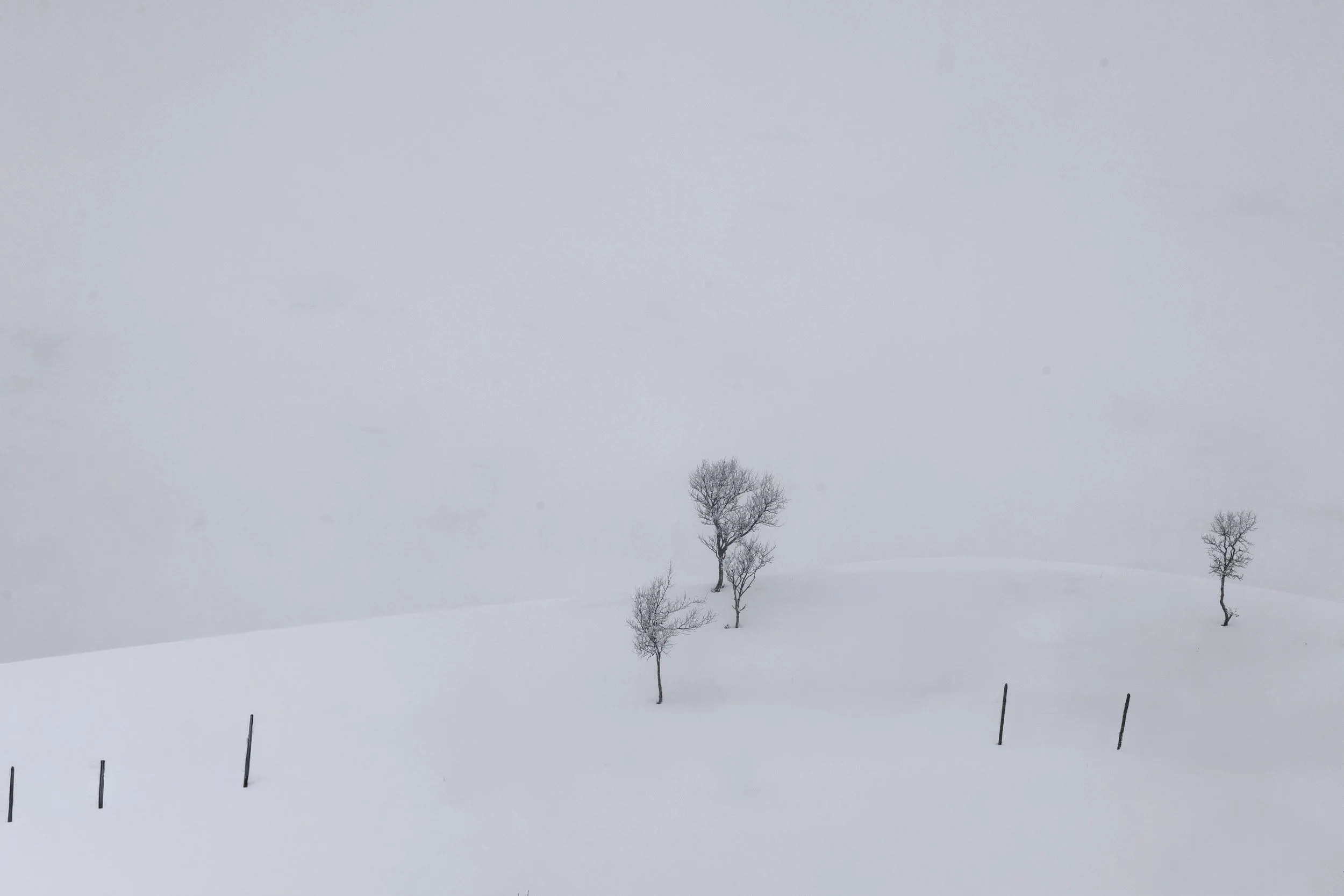 The lone winter planet