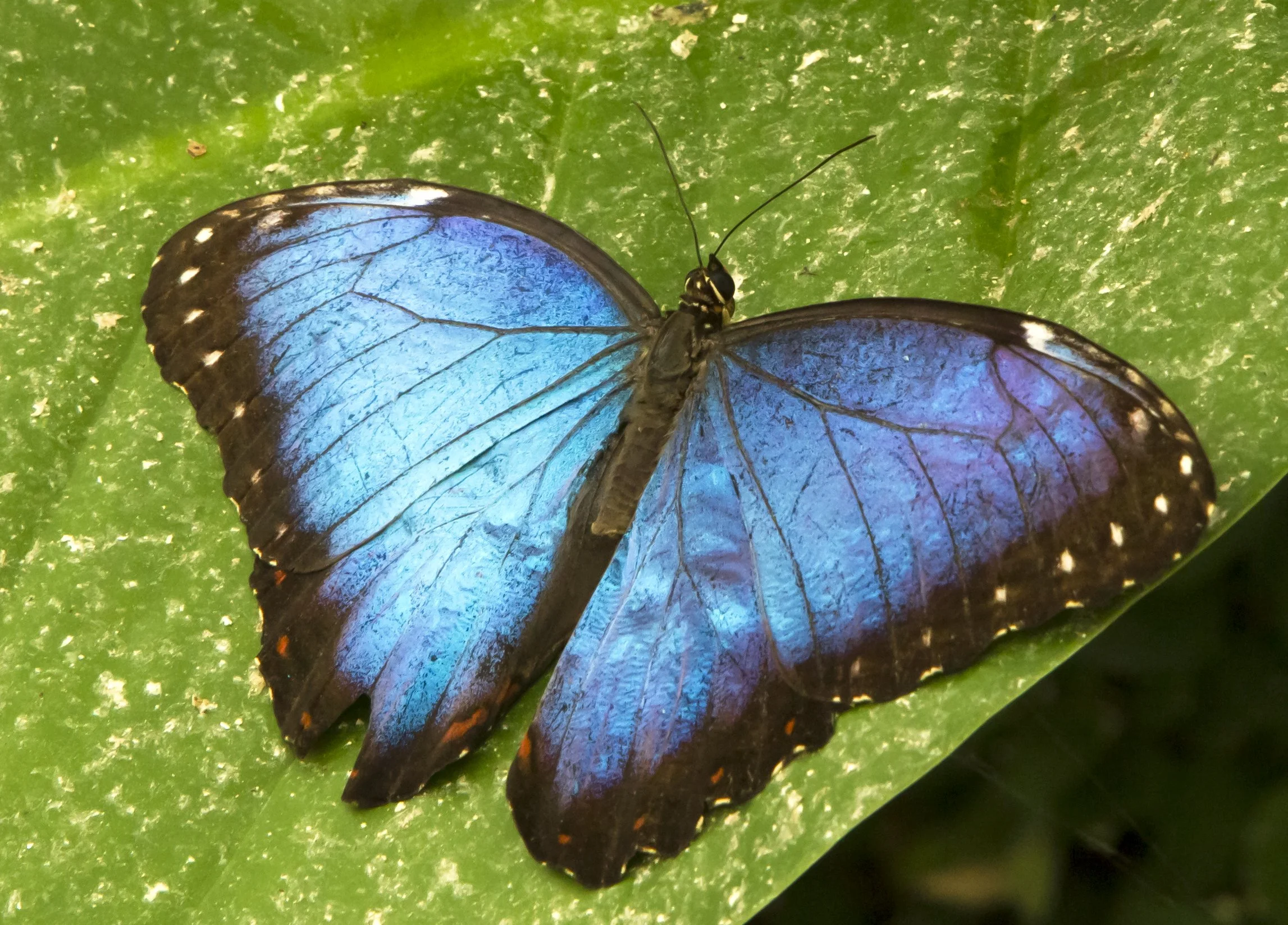 C14G9903.jpg