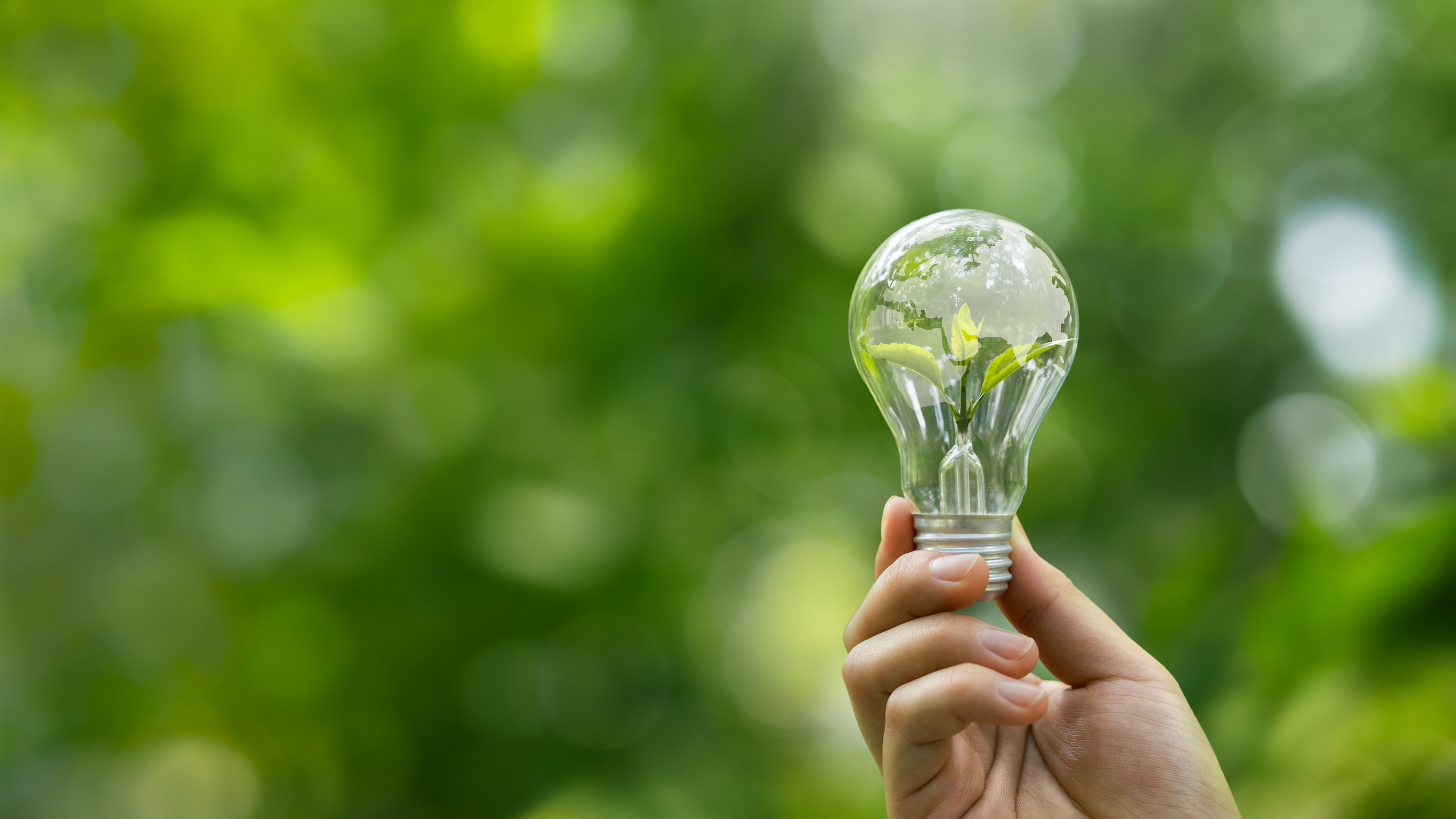 Social Value and Responsible Supply Chains
