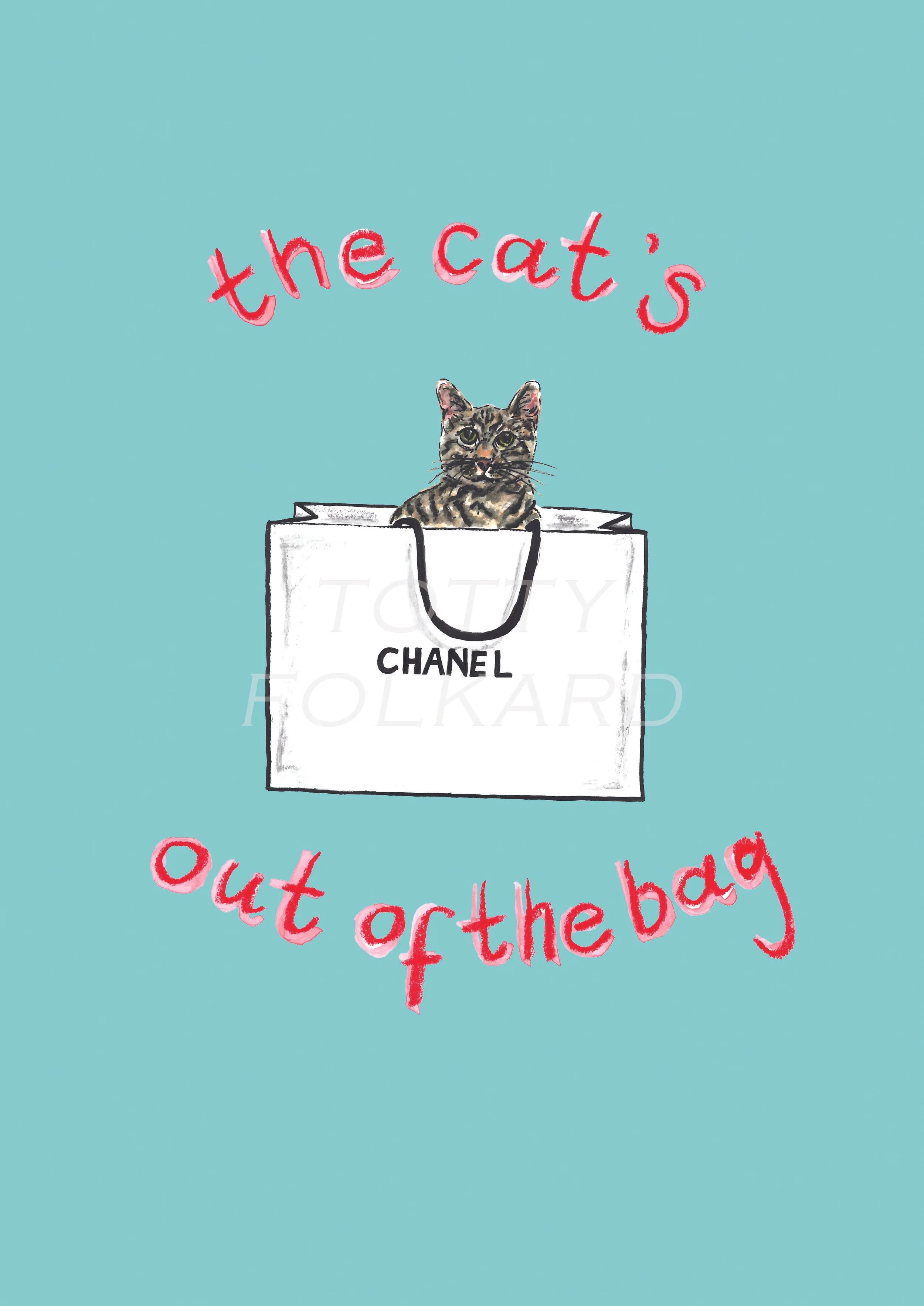 'The cat's out of the bag' A4 print
