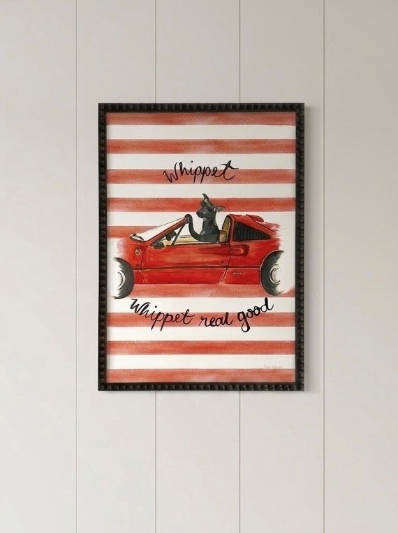 whippet frame.jpg