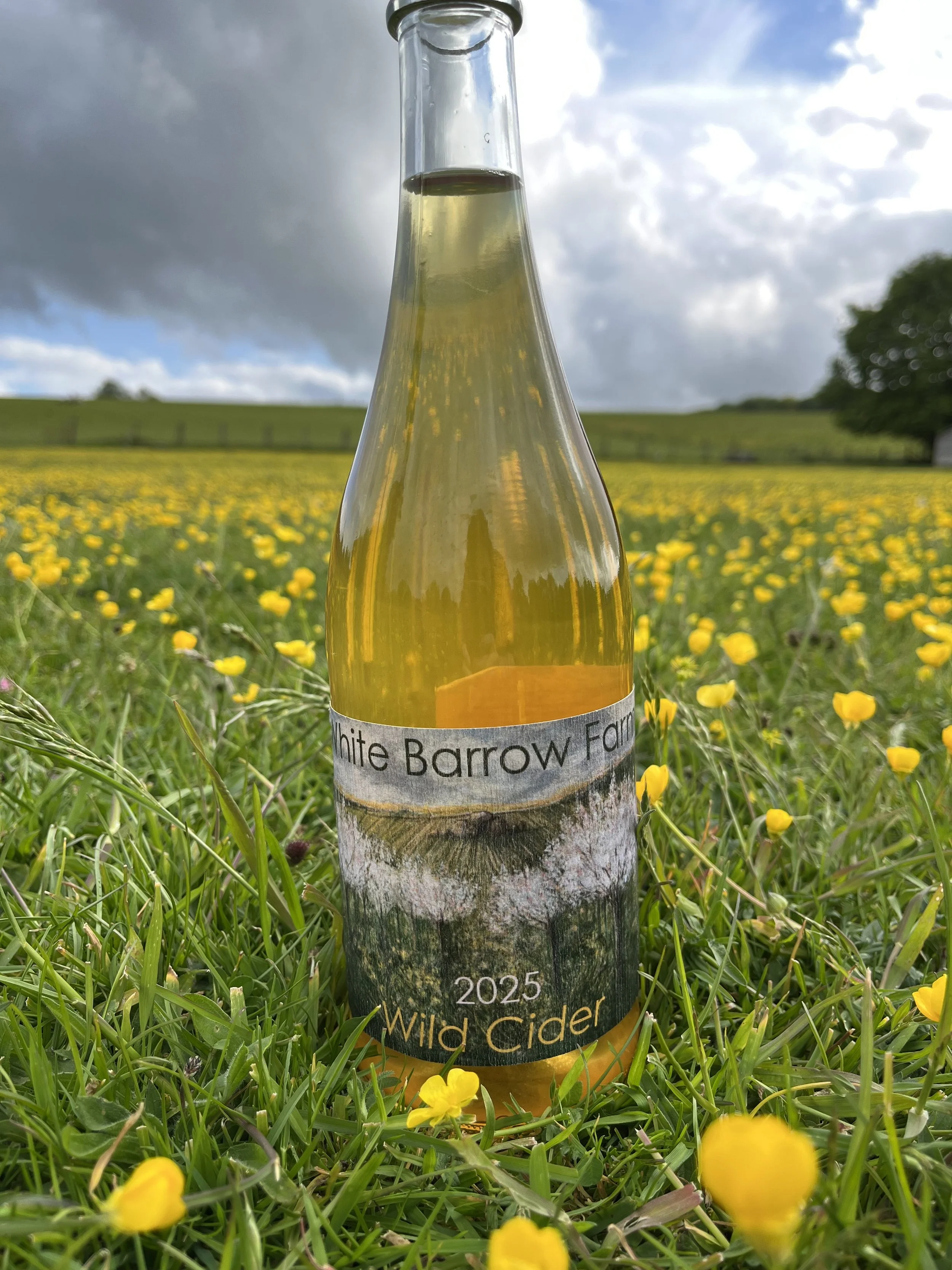 White Barrow Farm Wild Cider