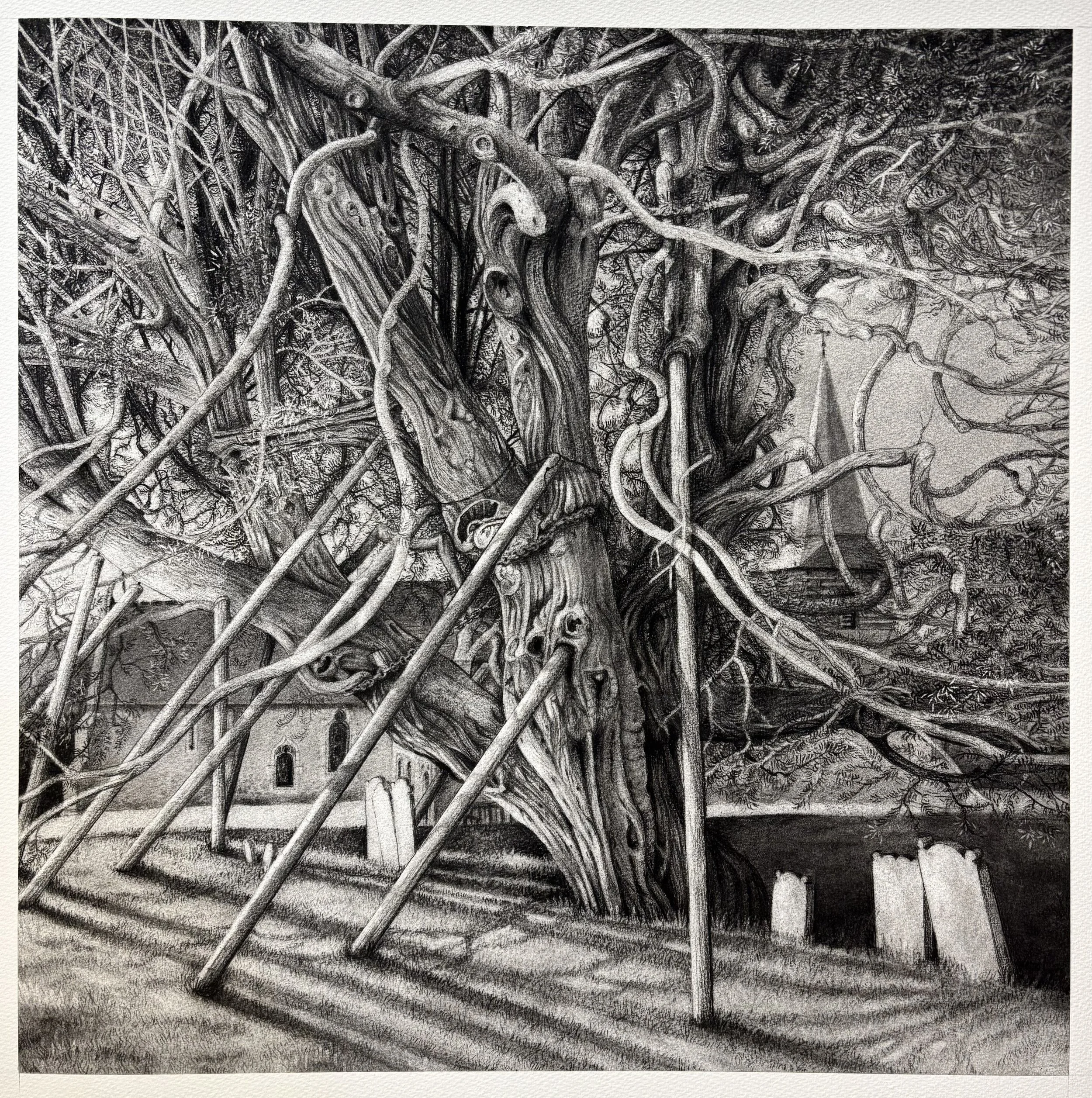 Enduring Nature - Chris Prior