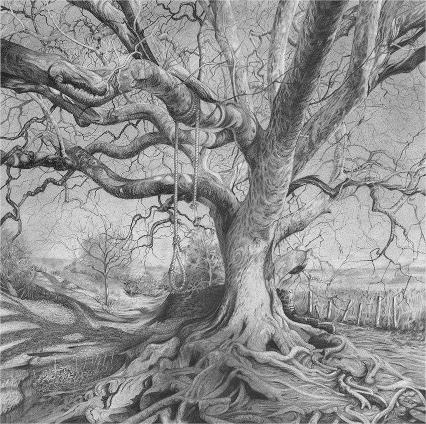 The Abbotsbury Plane Tree - Charcoal on Somerset Paper
465 x 465mm