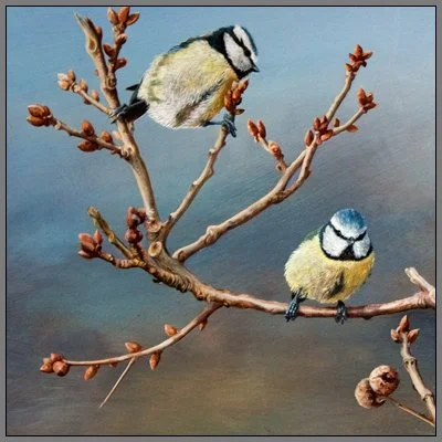 Blue Tits in Spring - Oil on Board