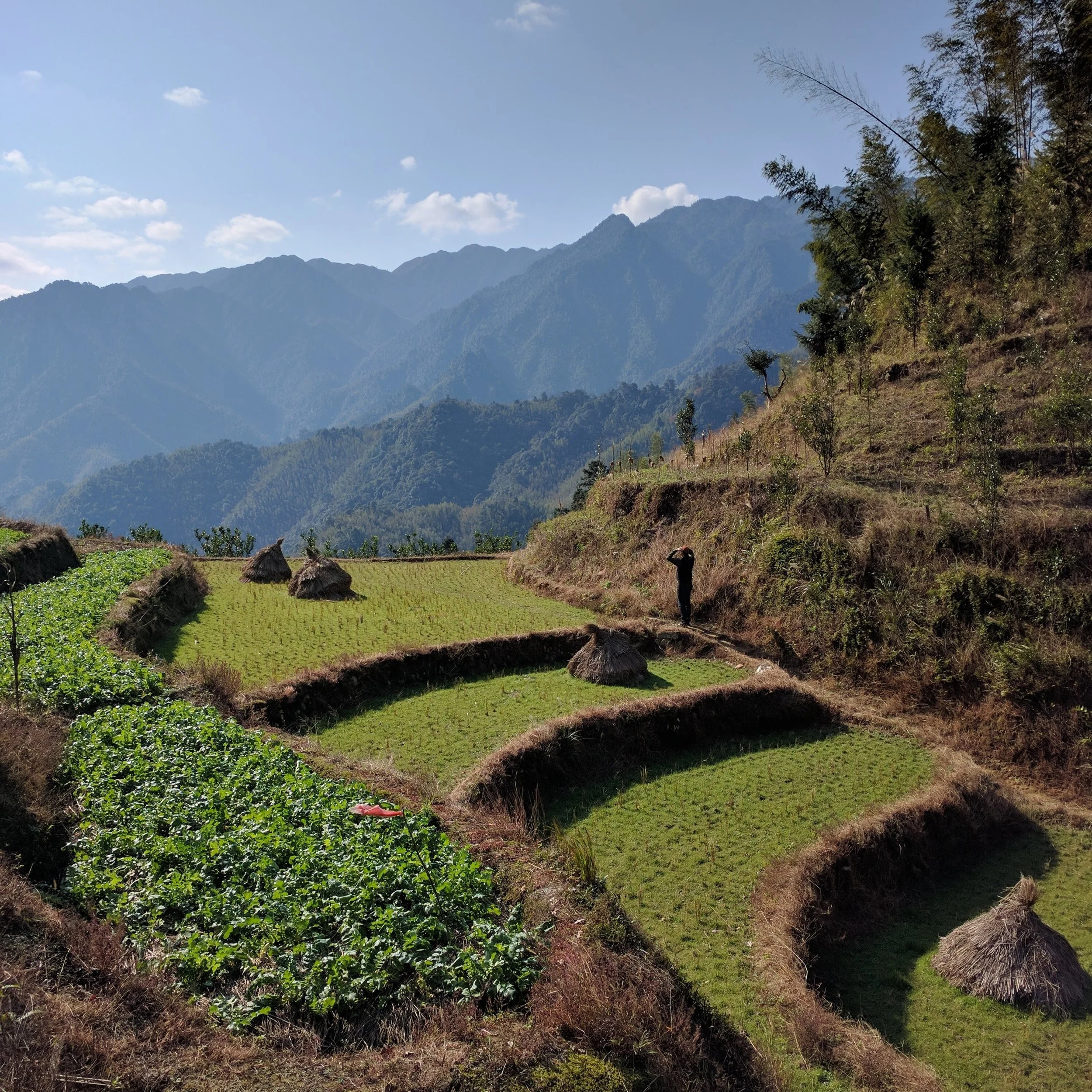 The Village- digital photography
Location: Guangxi Province, China