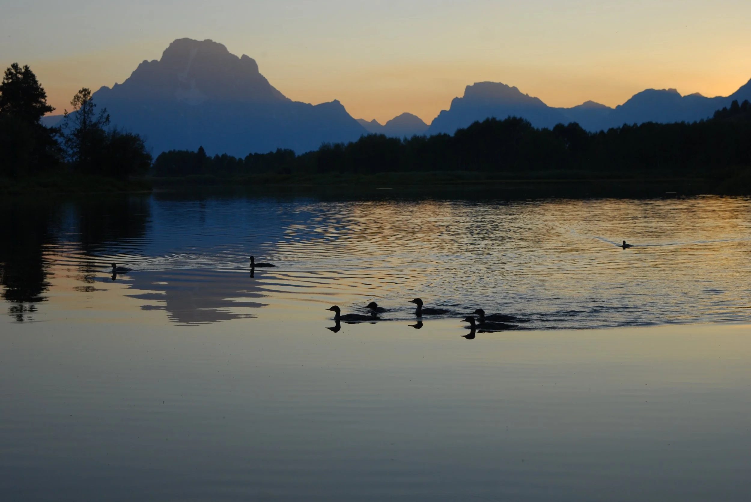 Silent bend- Digital photography
Grand Teton National Park 