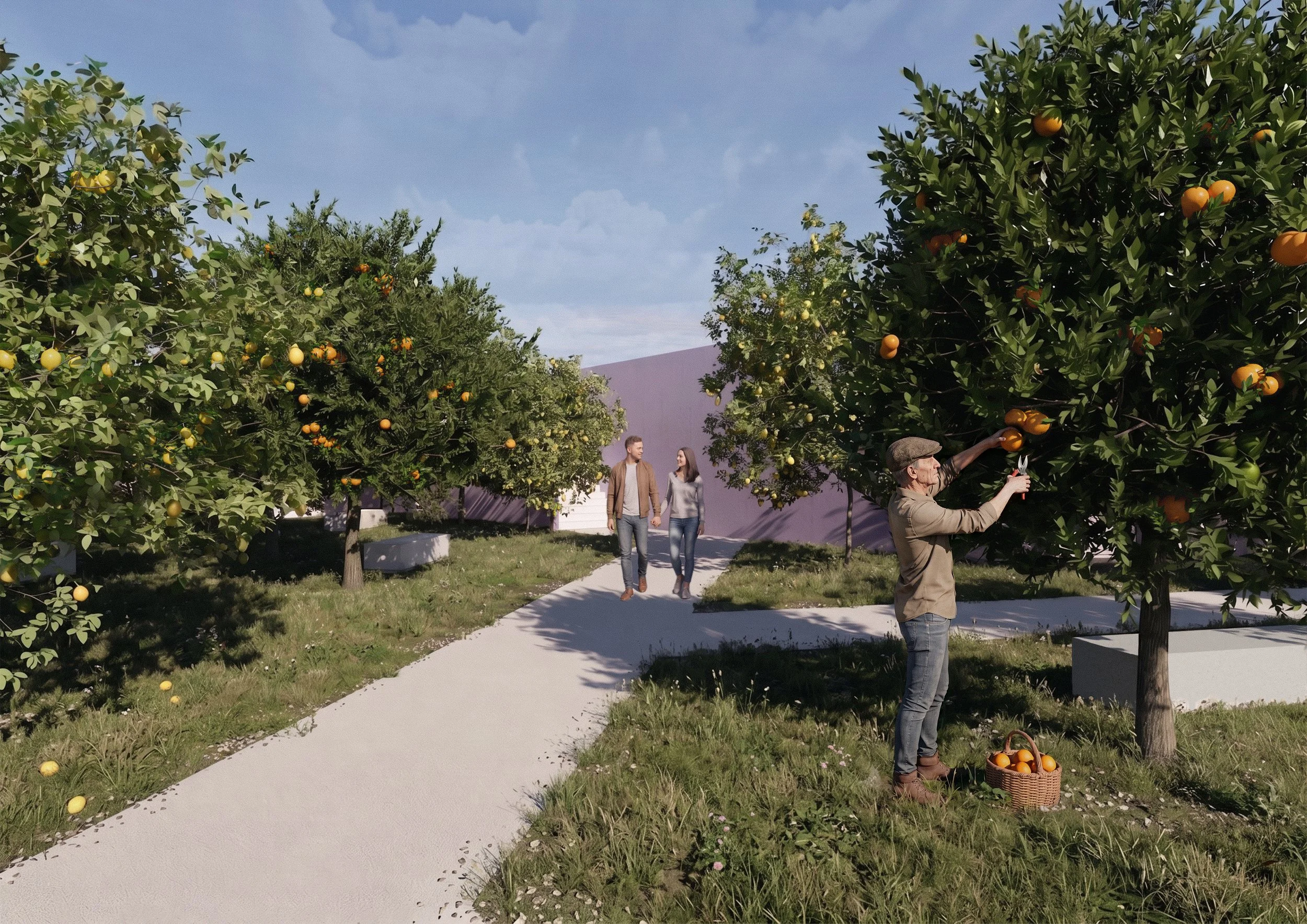 01_0000_Render 12 - Citrus Garden.jpg