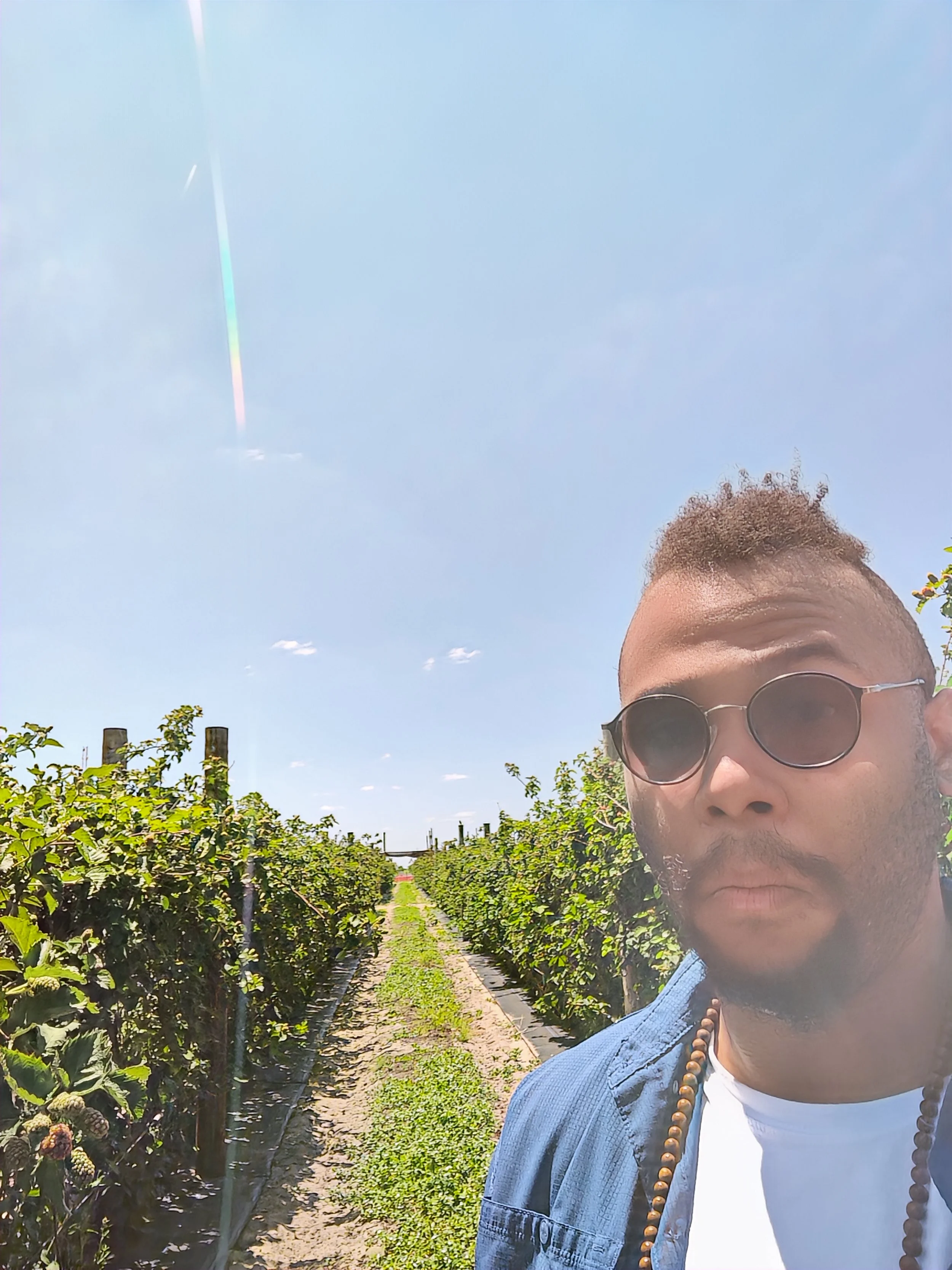 A man wearing sunglasses and a beaded necklace standing in a farm with rows of green bushes under a clear blue sky.