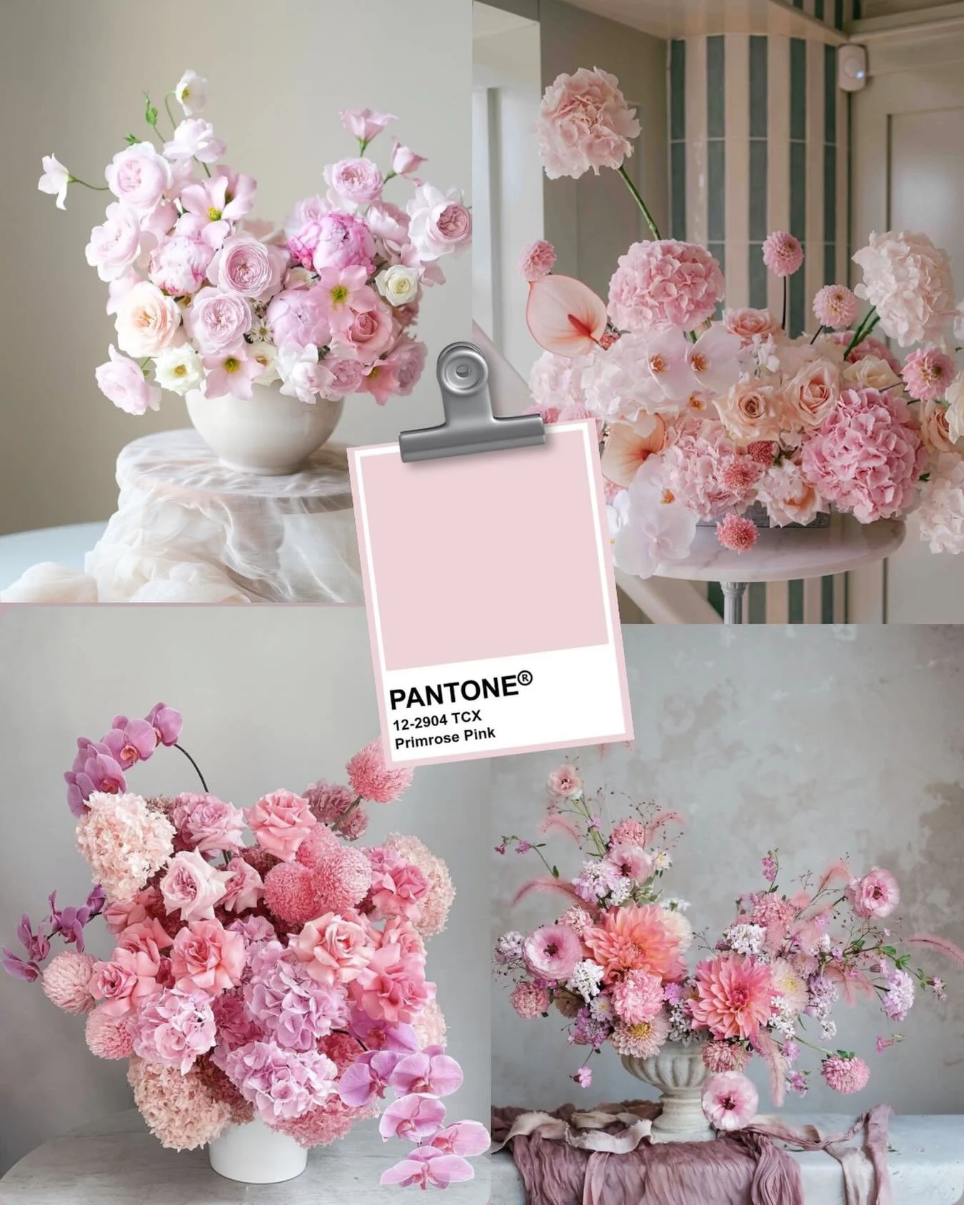🩷Et si on parlait des couleurs tendances de 2026/2027?

1/3 Zoom sur le Primrose Pink !

Une teinte douce et lumineuse qui apporte instantan&eacute;ment de la fra&icirc;cheur aux compositions florales.

Romantique, d&eacute;licate et pleine de charm