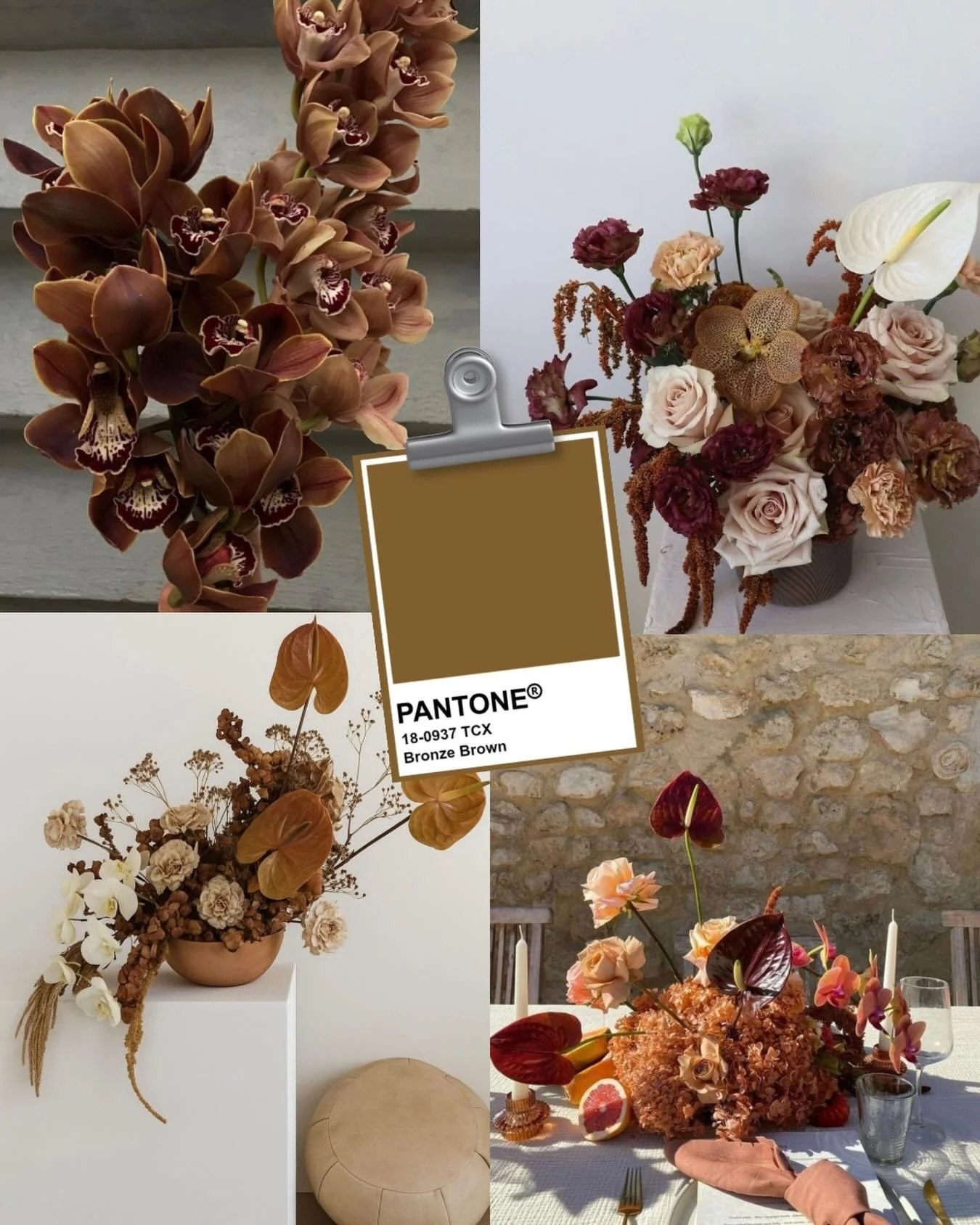 🤎 Et si on parlait des couleurs tendances de 2026/2027 ?

2/3 Place au Bronze Brown !

Une teinte chaleureuse et naturelle qui apporte profondeur et caract&egrave;re aux compositions florales.

&Eacute;l&eacute;gante et intemporelle, elle s&rsquo;in