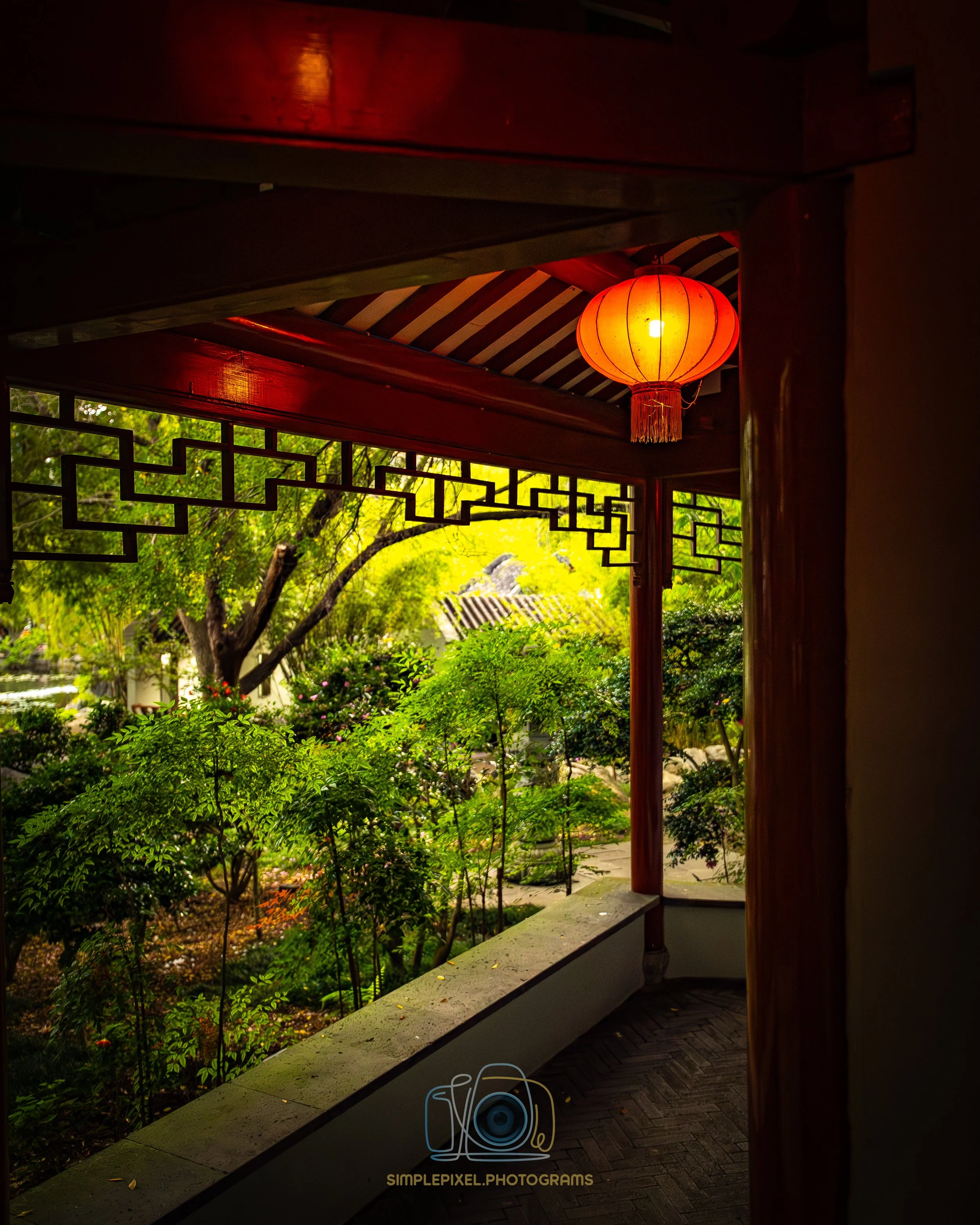YUQ_1425.jpg