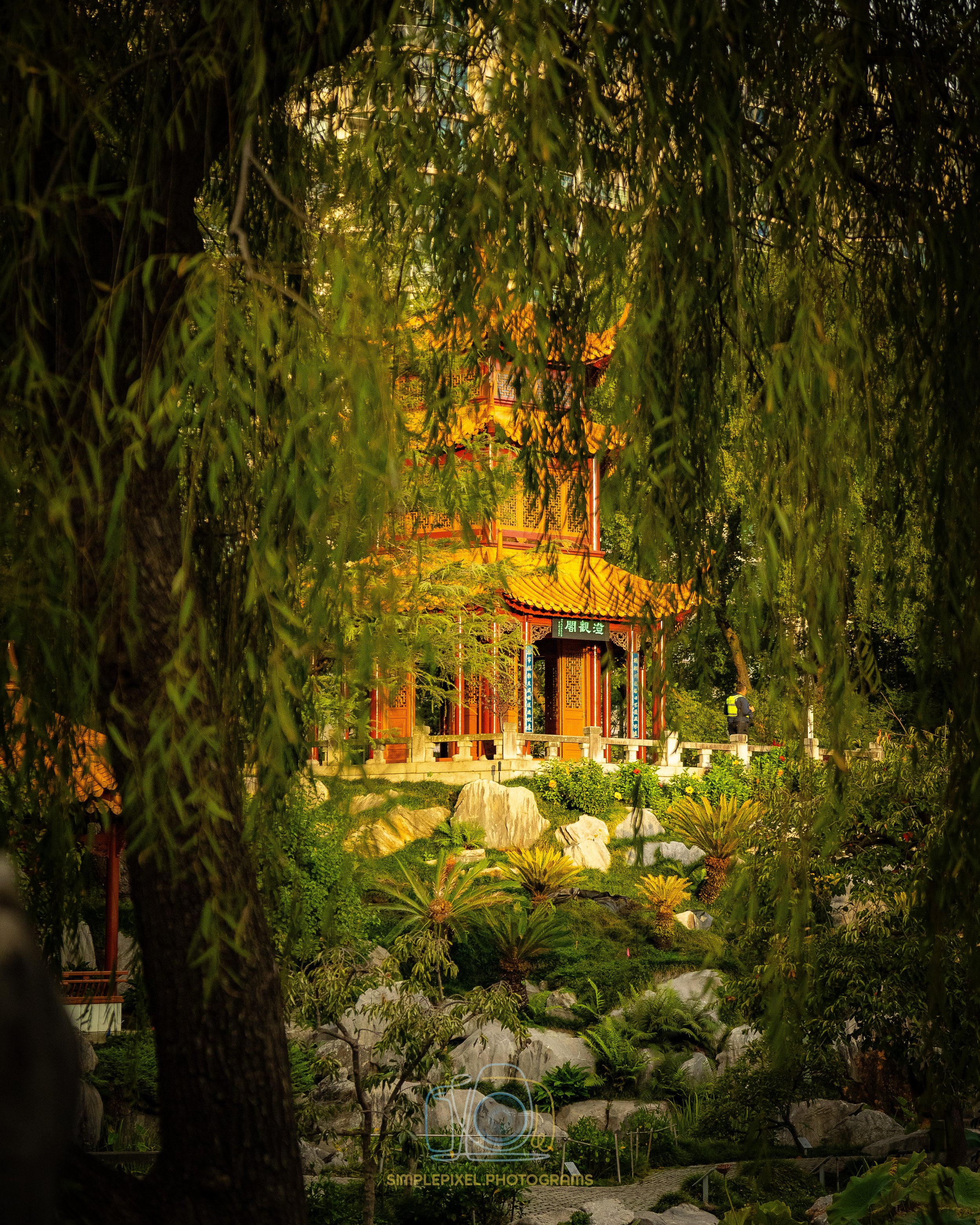 YUQ_1432.jpg