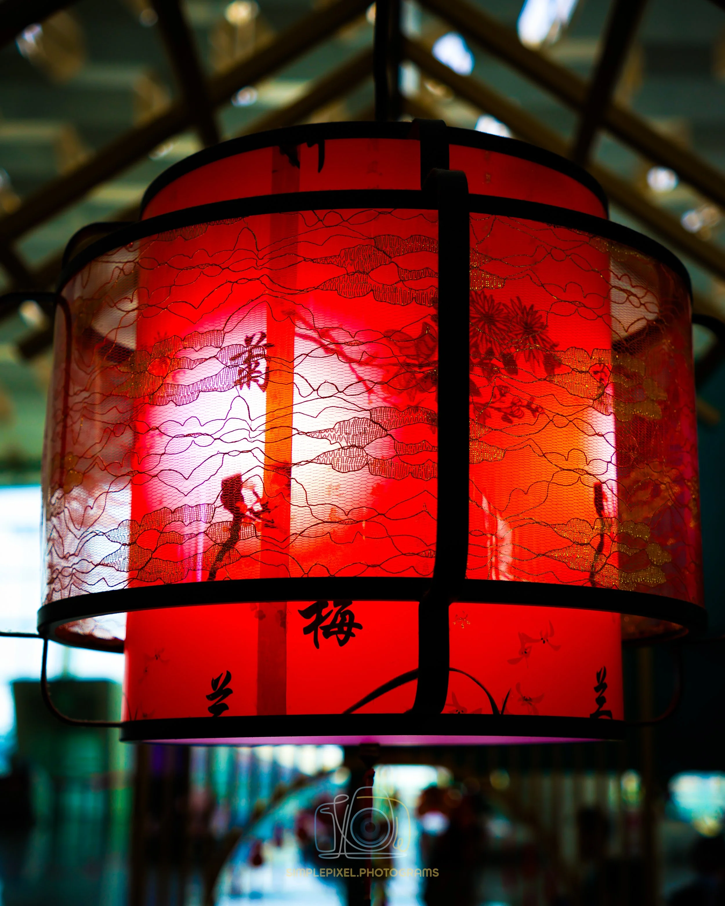 YUQ_4859.jpg