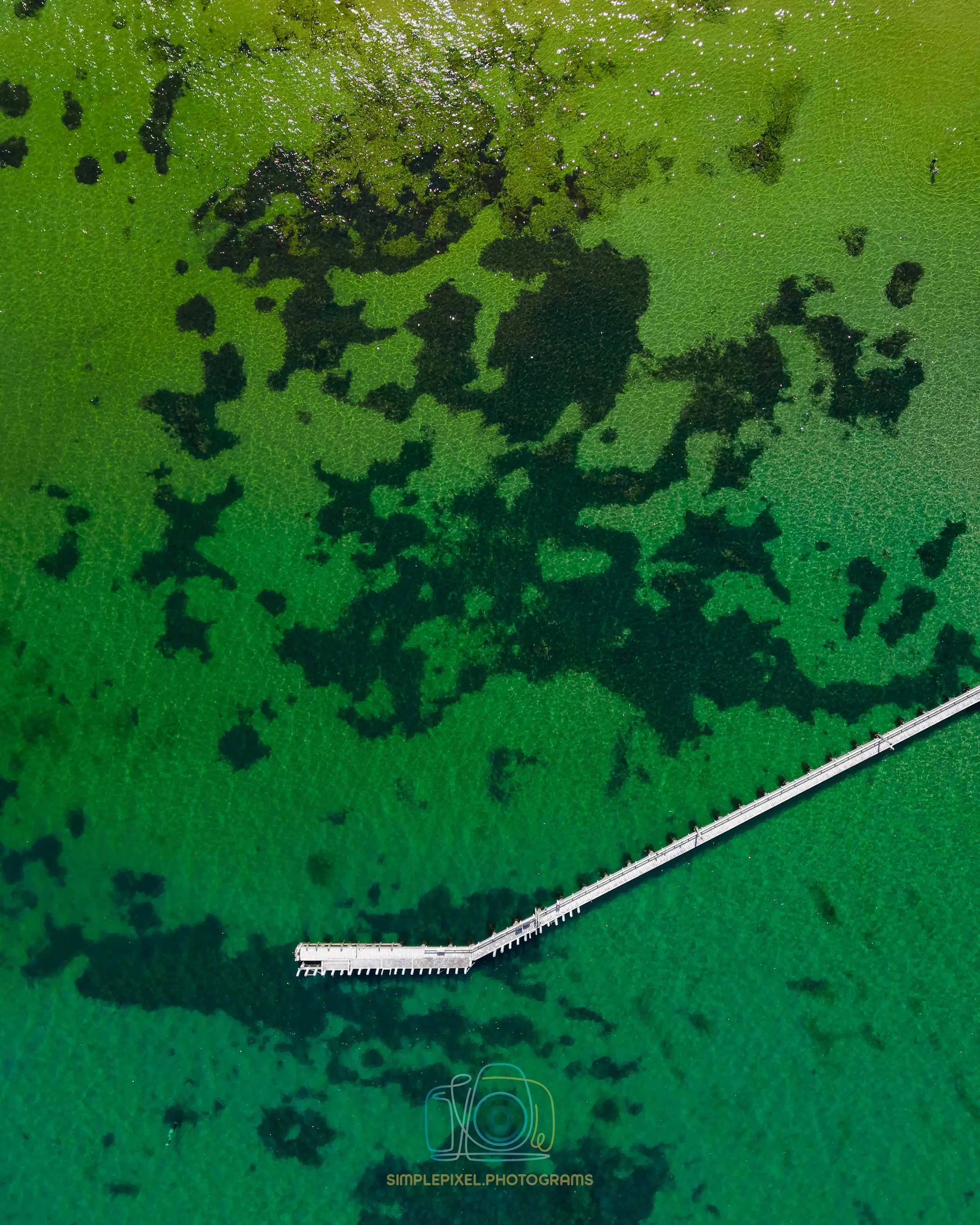 dji_fly_20260124_161910_0124_1769325087302_photo.jpg