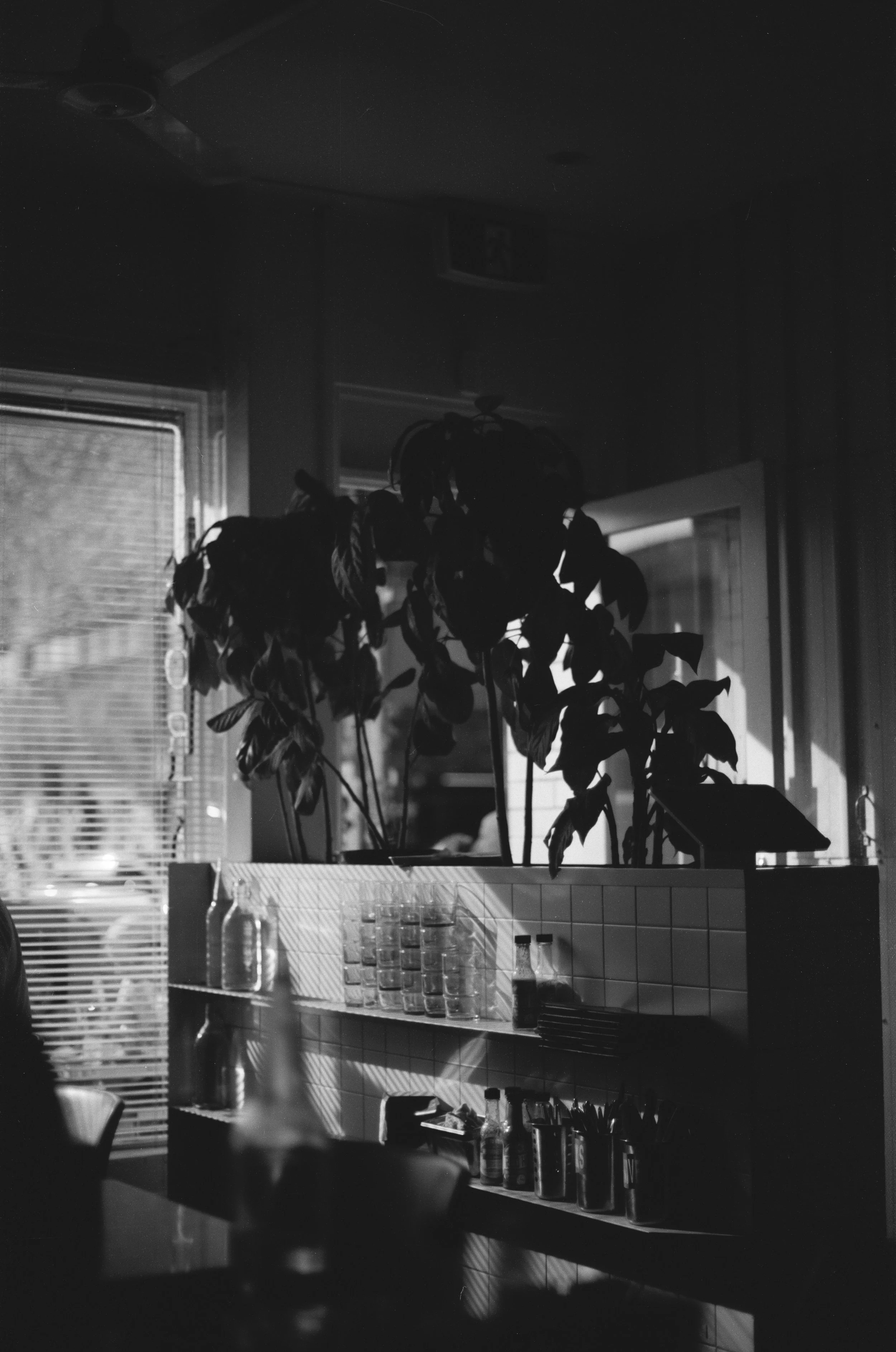 149710570033.jpg