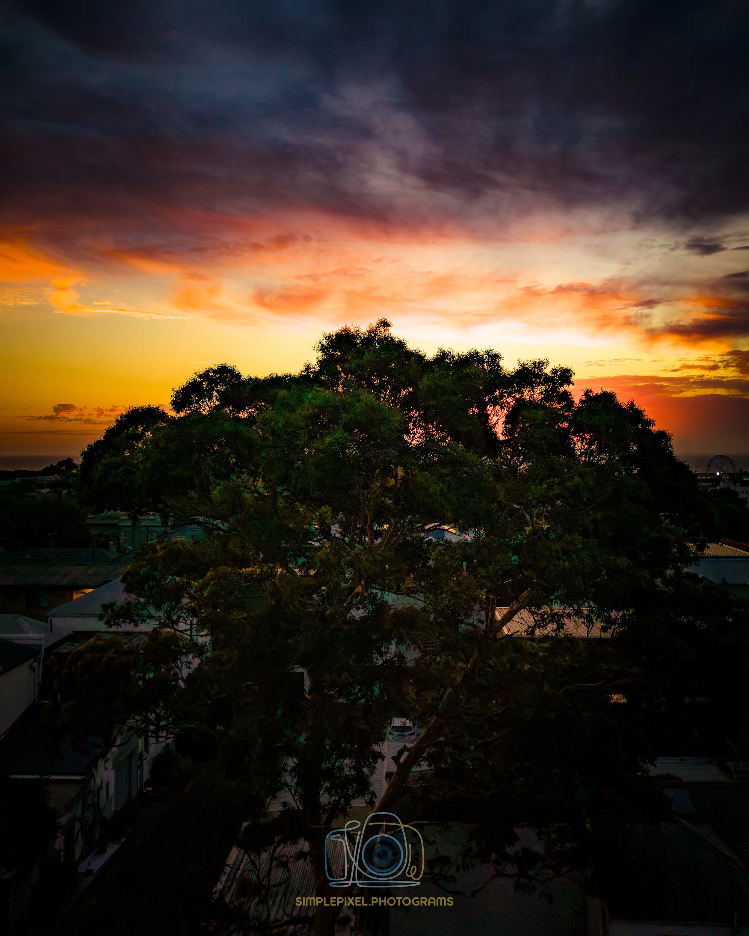 DJI_20260130204010_0169_D.jpg