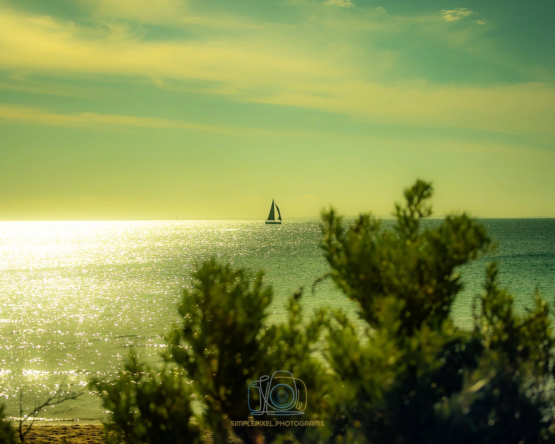 YUQ_0234-2.jpg
