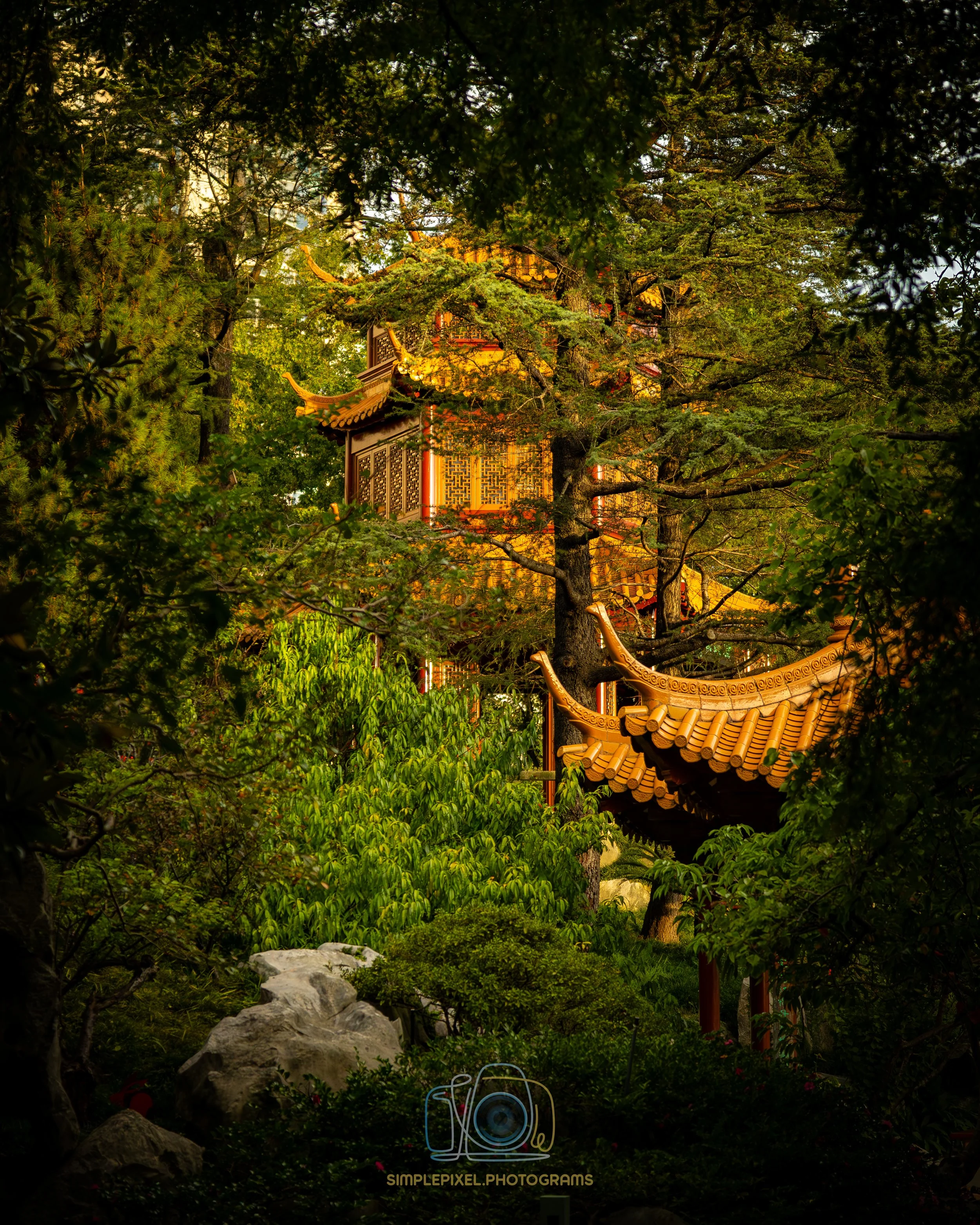 YUQ_1429-2.jpg