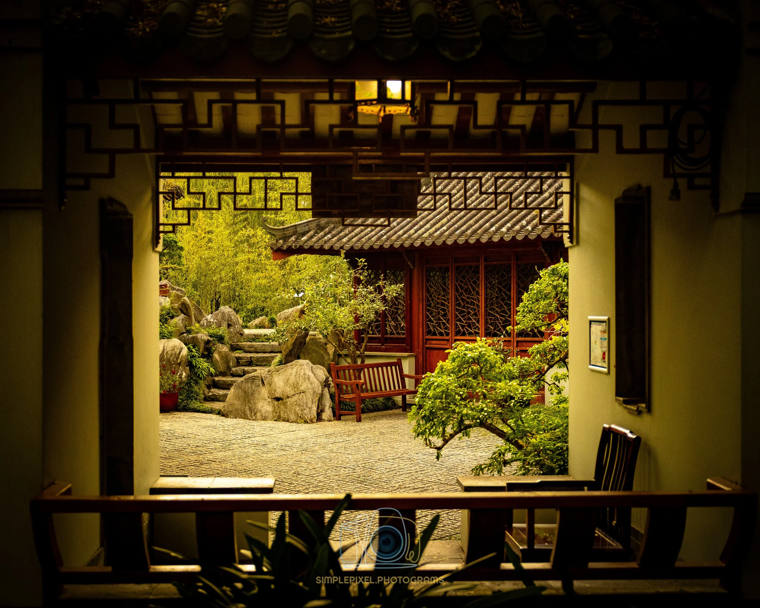YUQ_1430.jpg