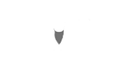 The Falcon Consulting Group