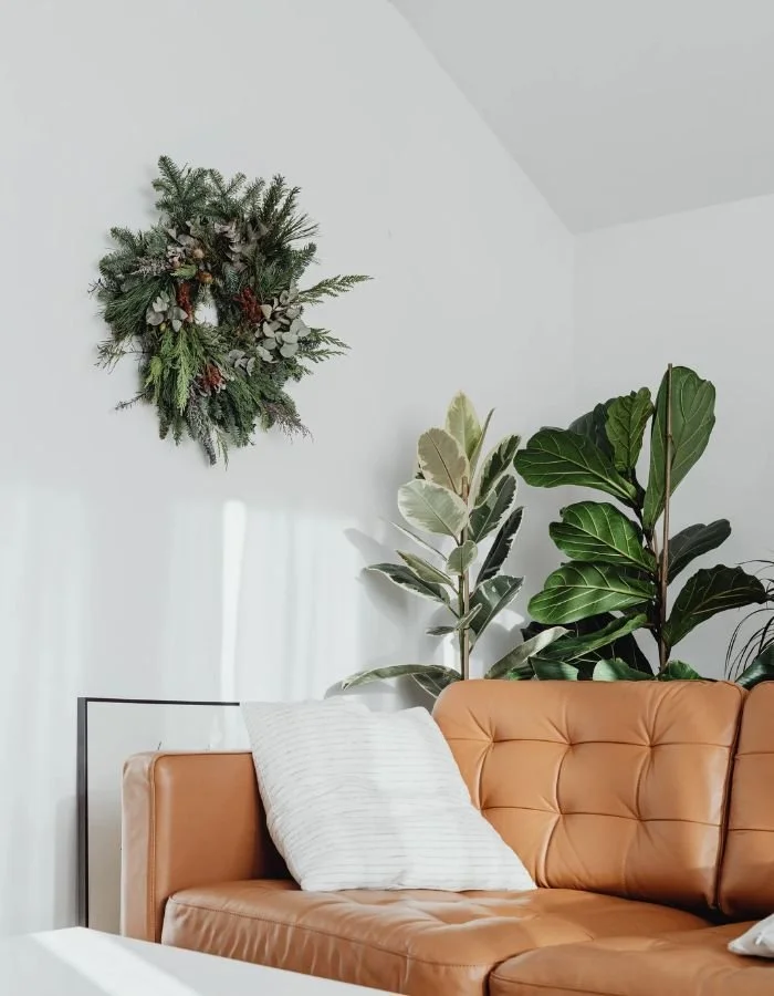 A living room corner with a tan leather sofa, white pillow, large green plants, and a holiday wreath on the white wall.