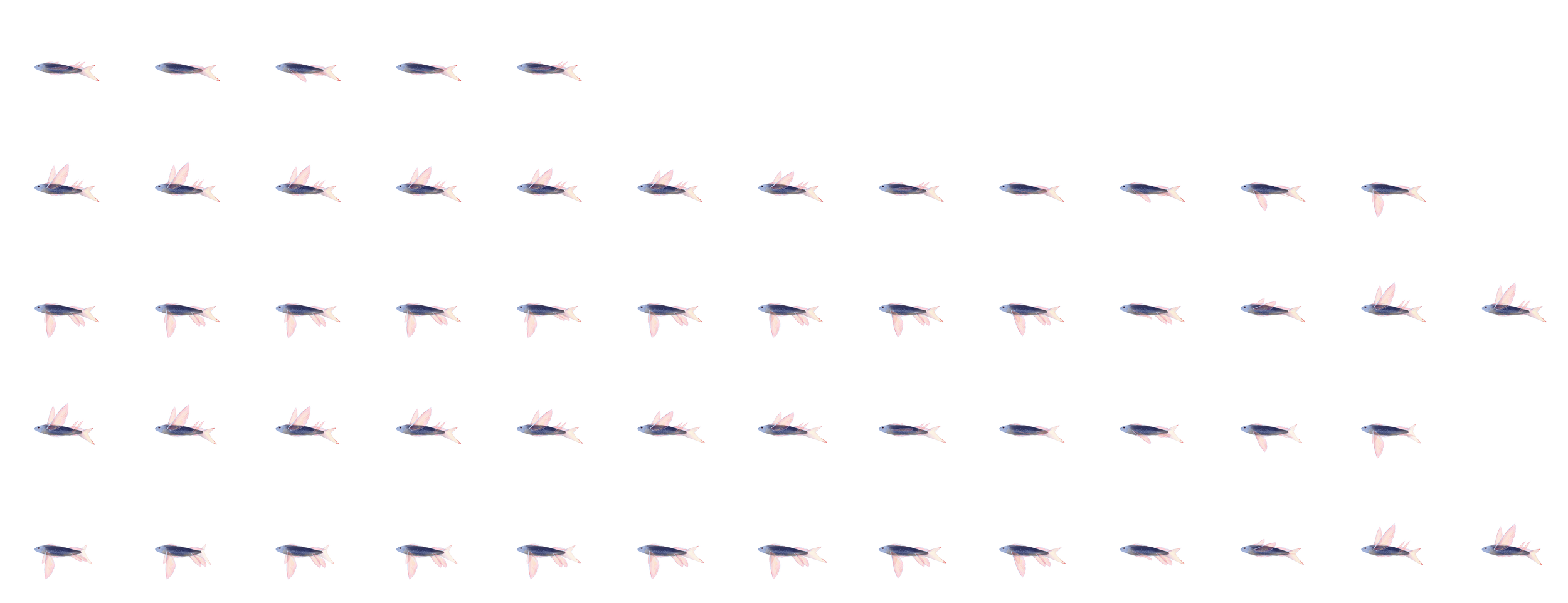 Sprite sheets of our buddy swimming and flying through the seas and skies