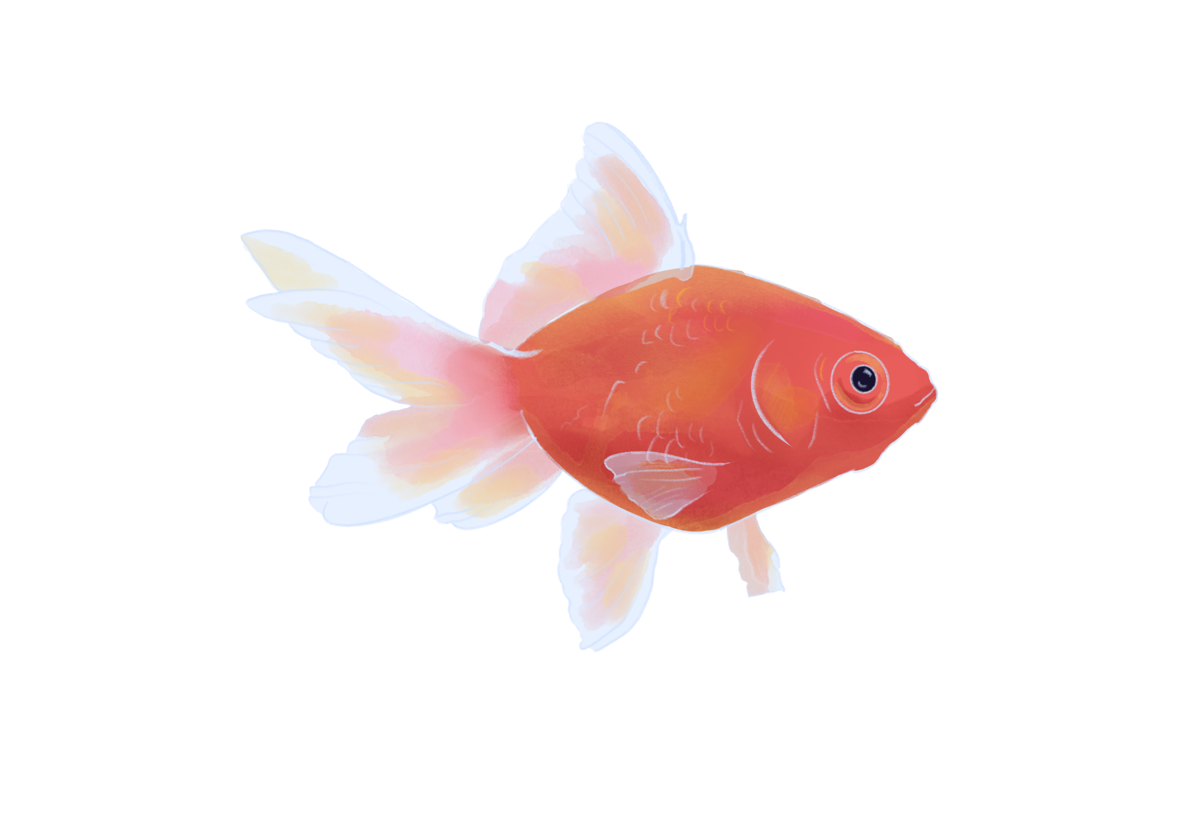A digitally painted goldfish