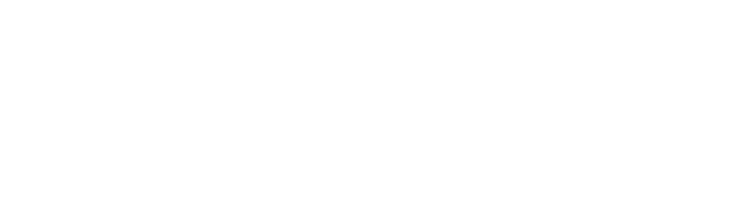 Duracell Energy
