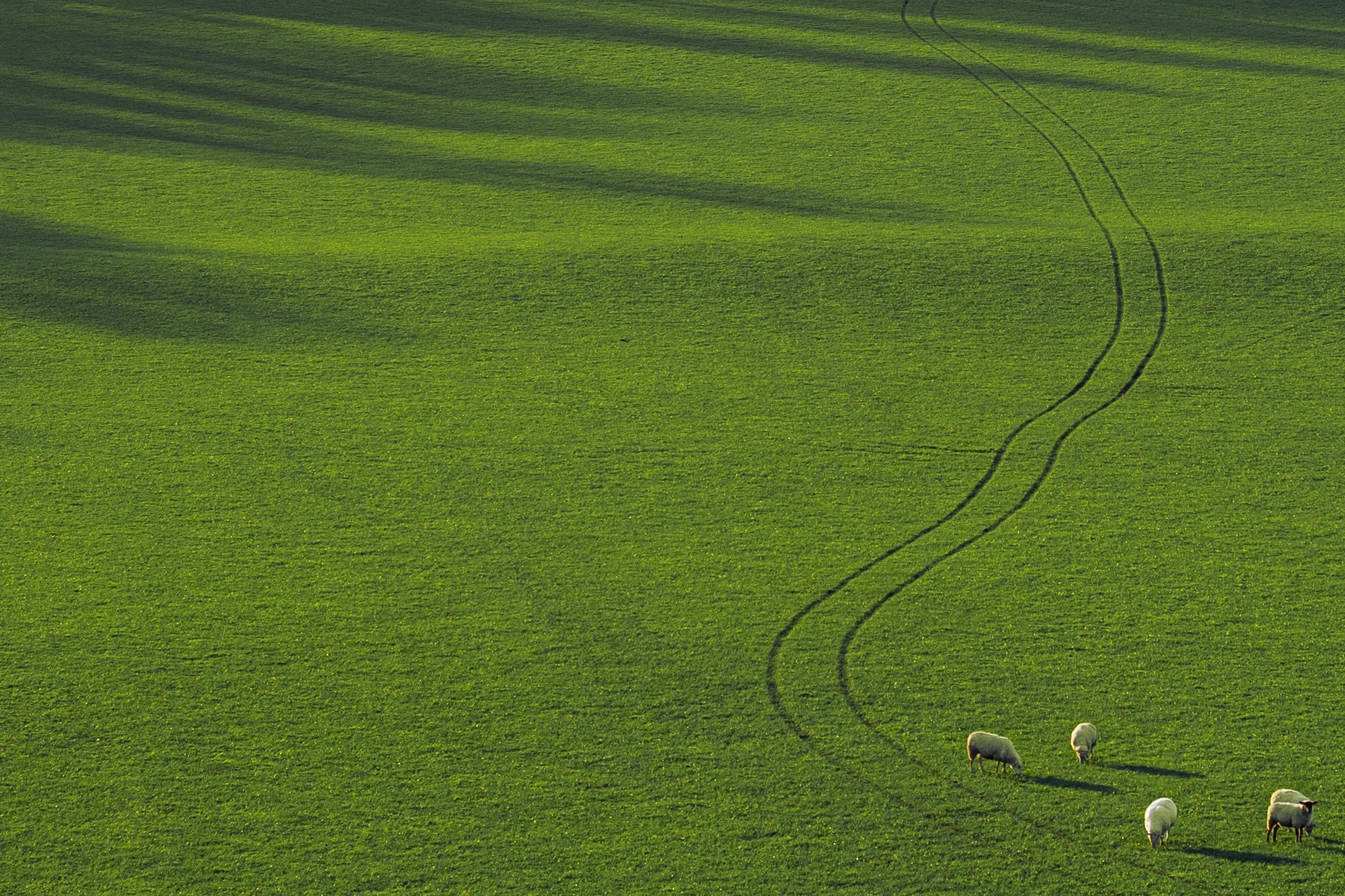 cley hill 2x3 2.jpg