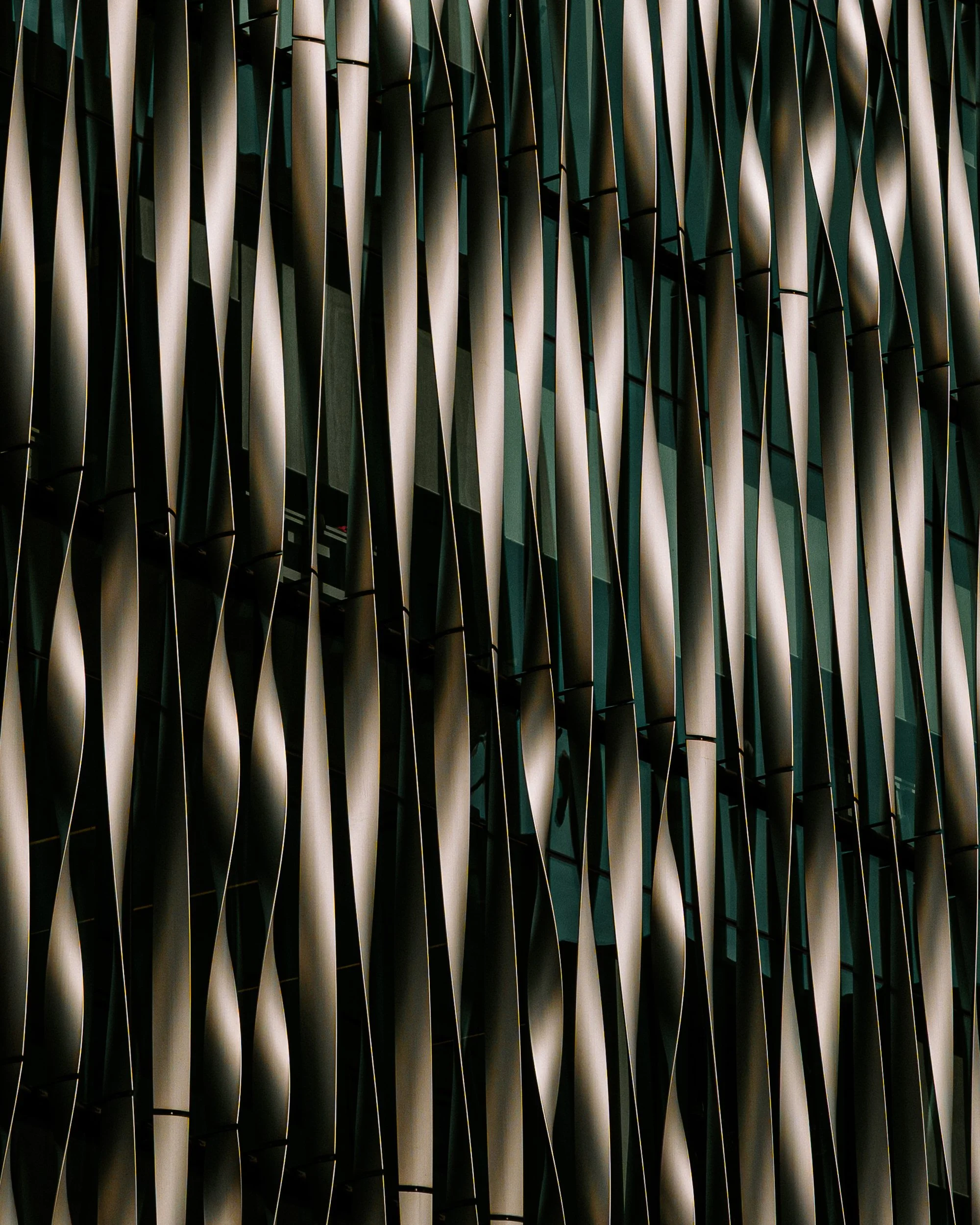 DSC00864-1.jpg