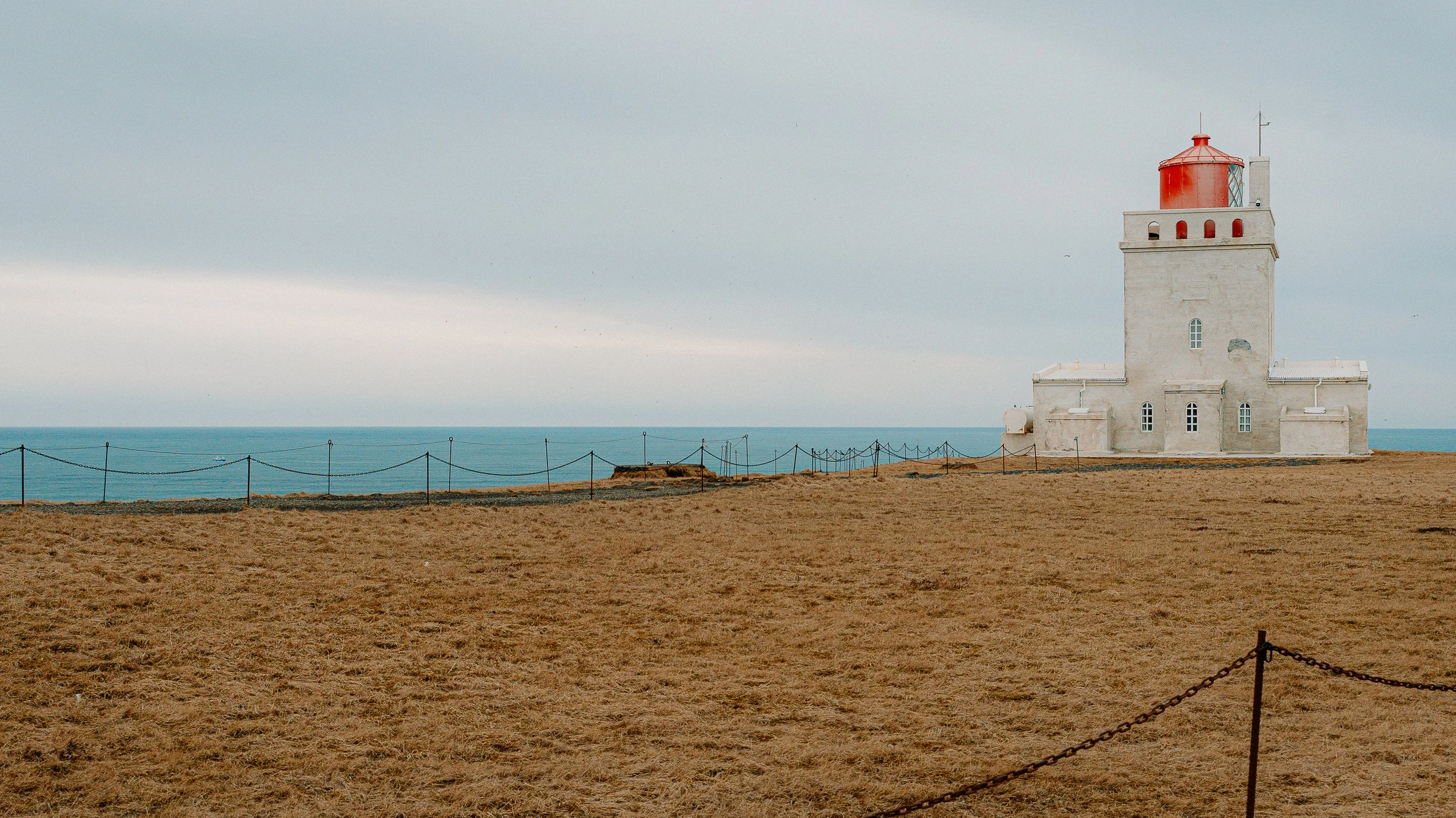 DSC01398-1.jpg