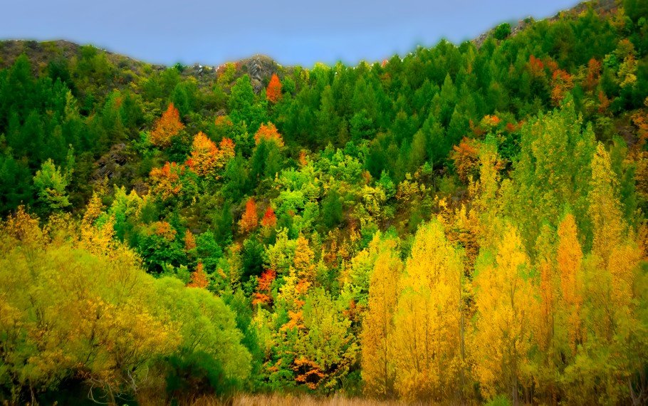 Arrowtown New Zealand