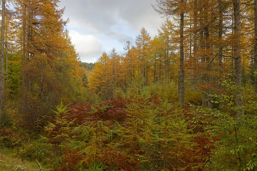 Autumn in Scotland