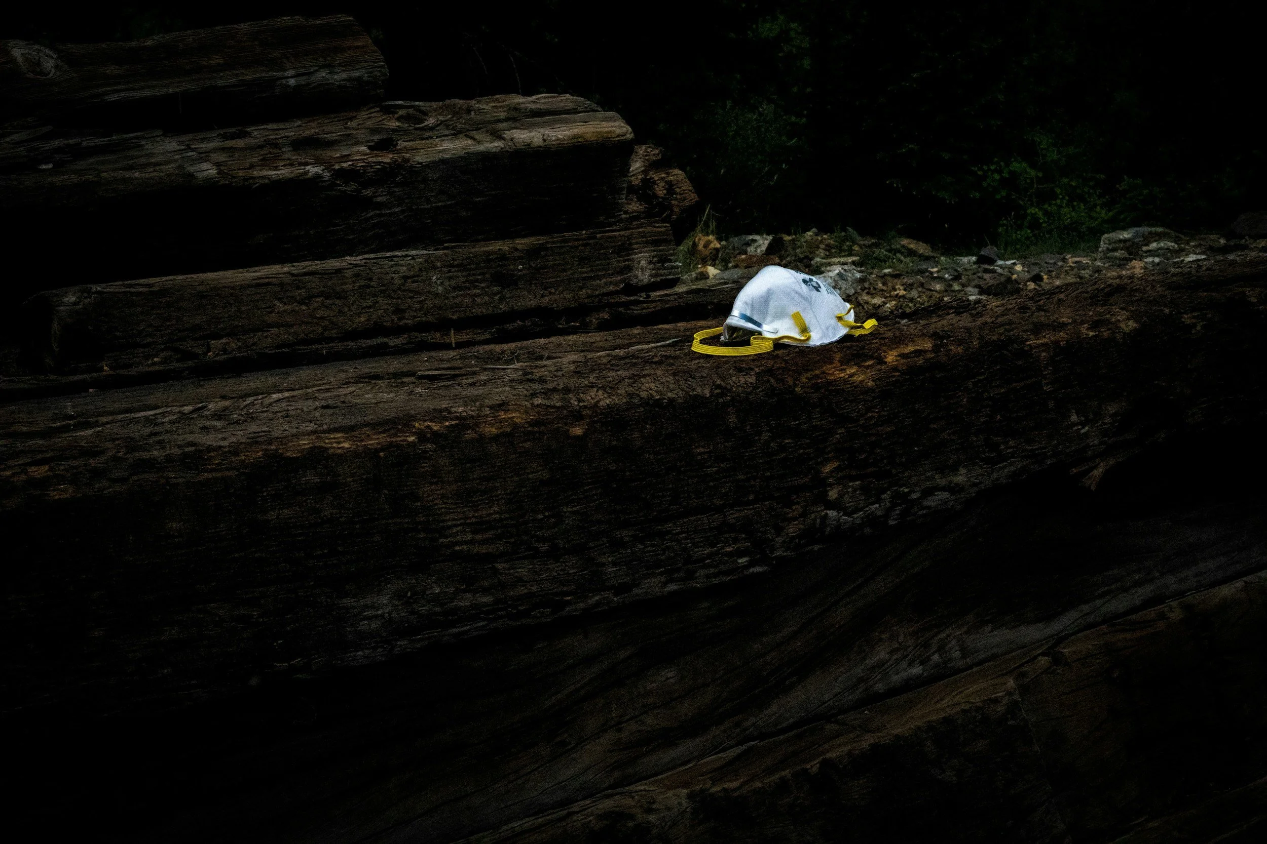 A white cloth face mask with yellow ear loops resting on a large fallen tree trunk in a forest setting.