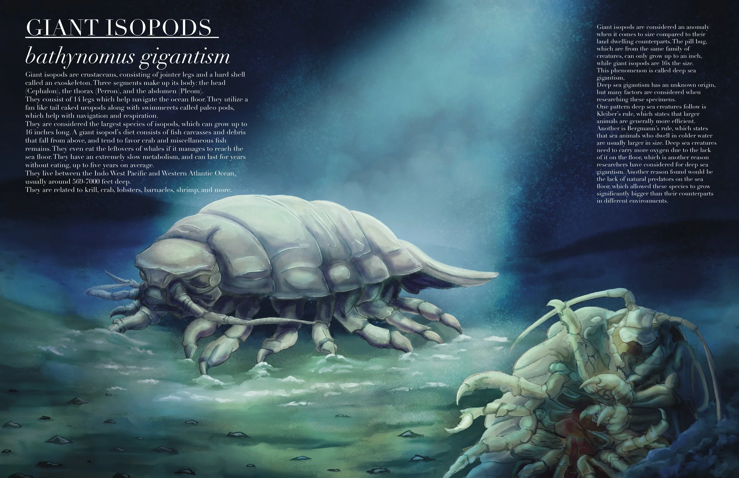 Isopod Spread