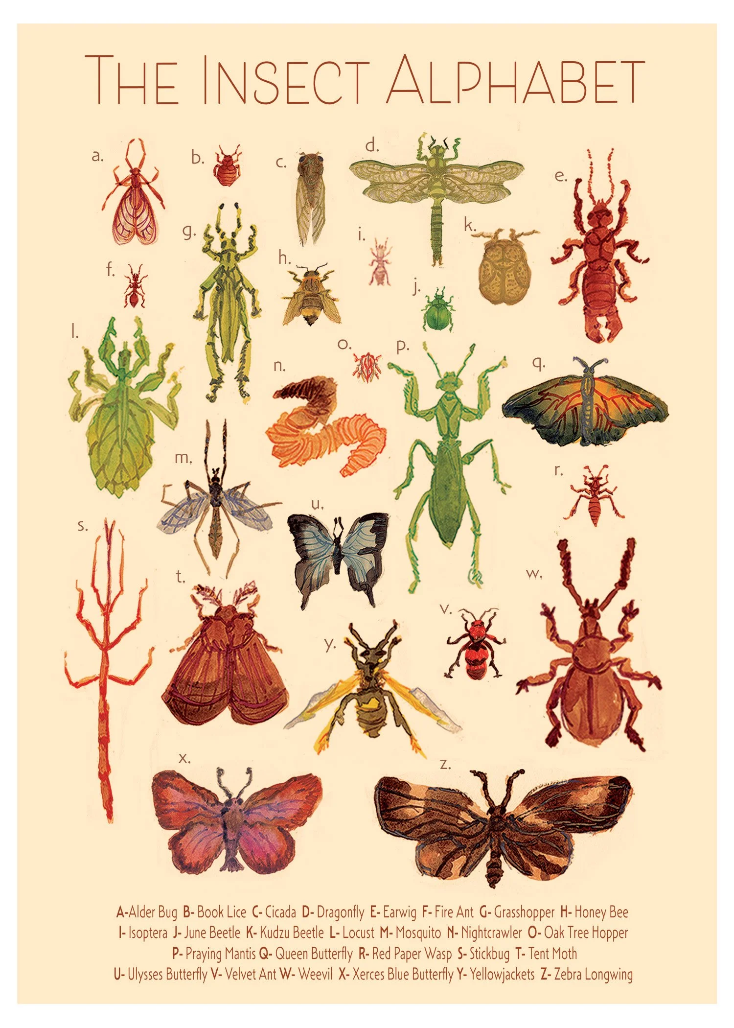 Insect Alphabet Poster