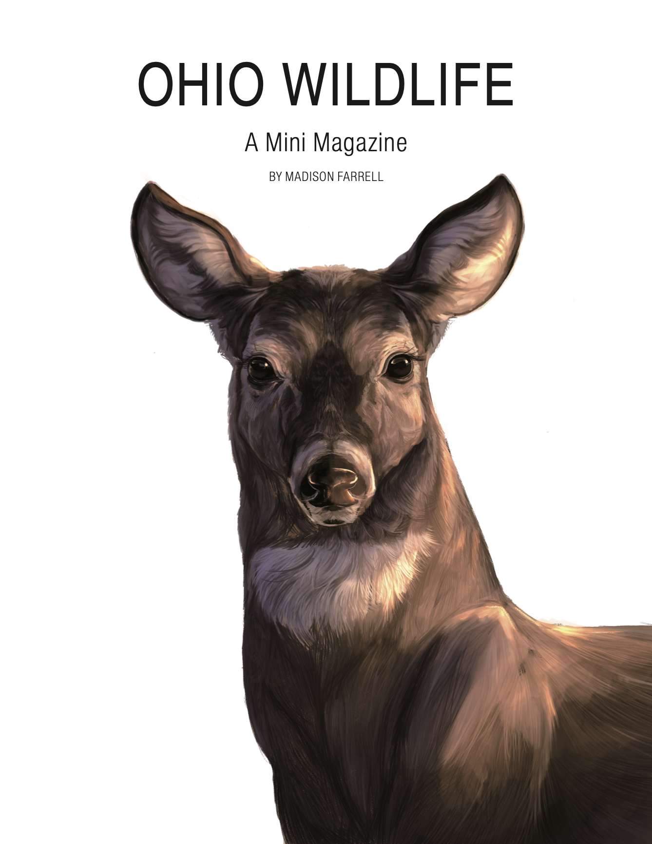 OHIO WILDLIFE: A Mini Magazine