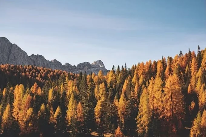 Loving the Earth