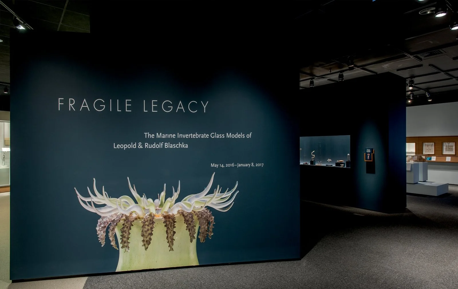 Fragile_Legacy_Ex_03_RGB-apd.jpg