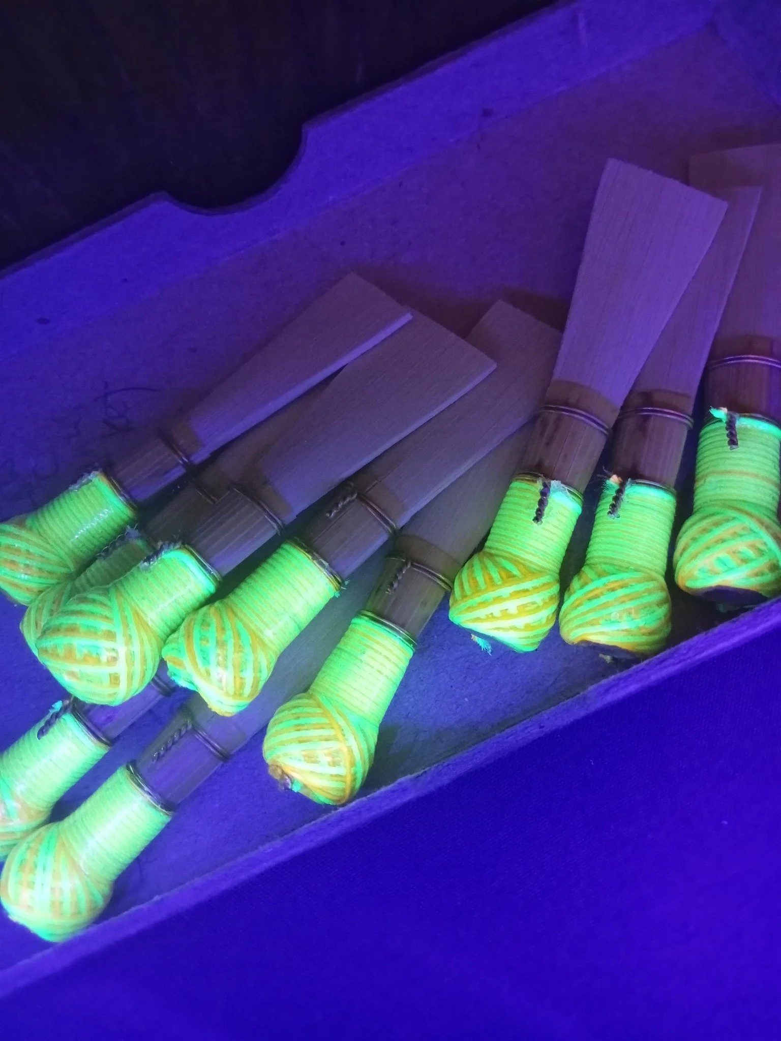 Glowing reeds 2.jpg