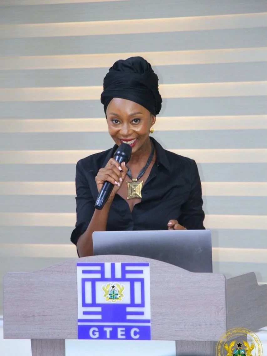 Important conversations. Strong industry voices. Meaningful connections

Last Tuesday, the Alternative Fashion Fabric Fair (Alt.FFF) in partnership with the Association of Ghana Industries (AGI) hosted &ldquo;Who Owns Your Work?&rdquo; - pre-Alt.FFF 