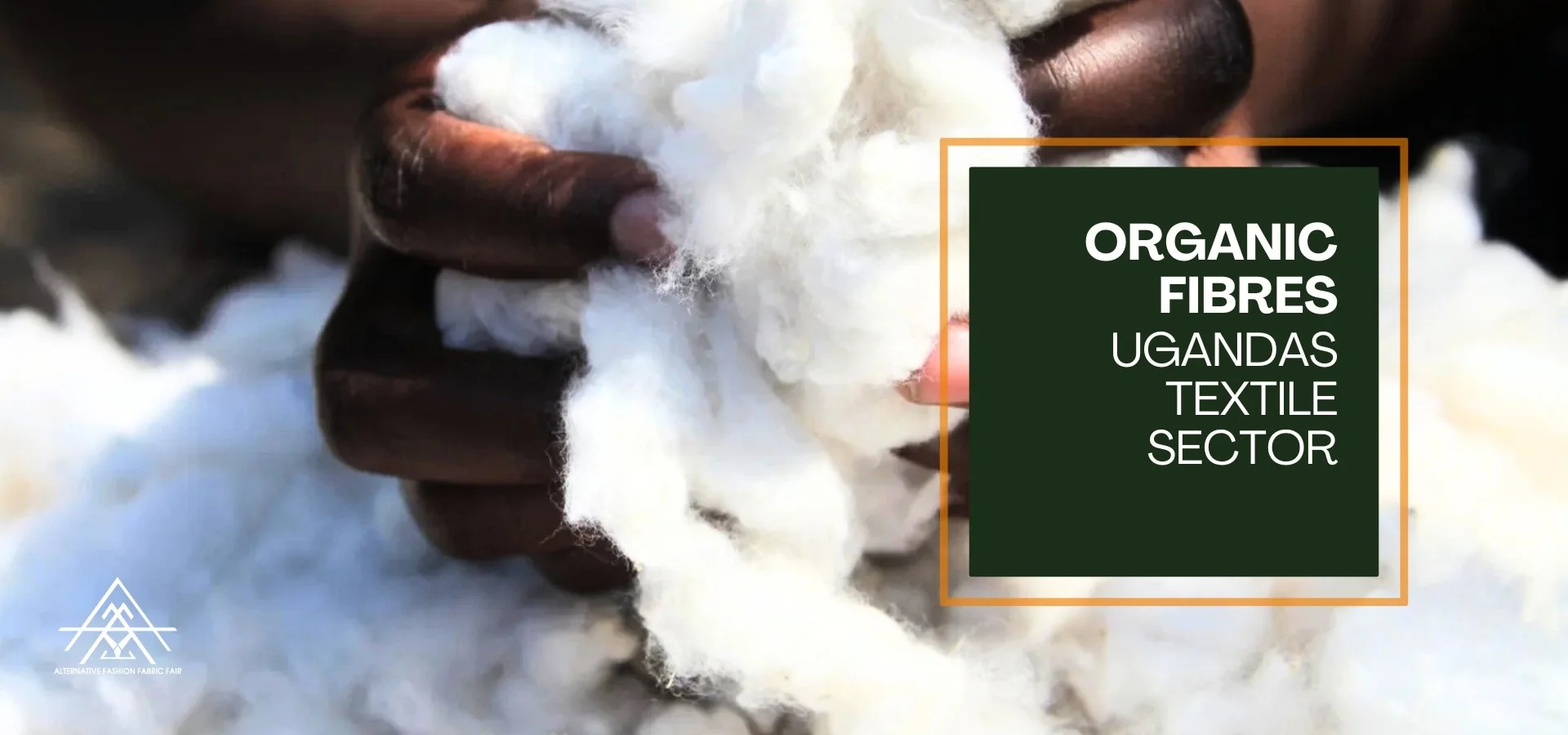 ALT.FFF_fibres.jpg