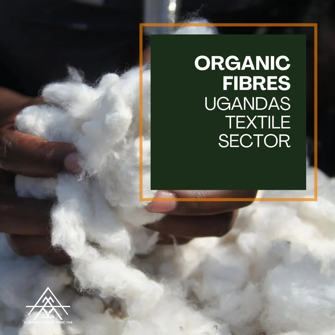 Close-up of a hand holding fluffy white cotton or textile fibers, with more fibers scattered around. Overlayed text reads: 'ORGANIC FIBRES UGANDA TEXTILE SECTOR'.
