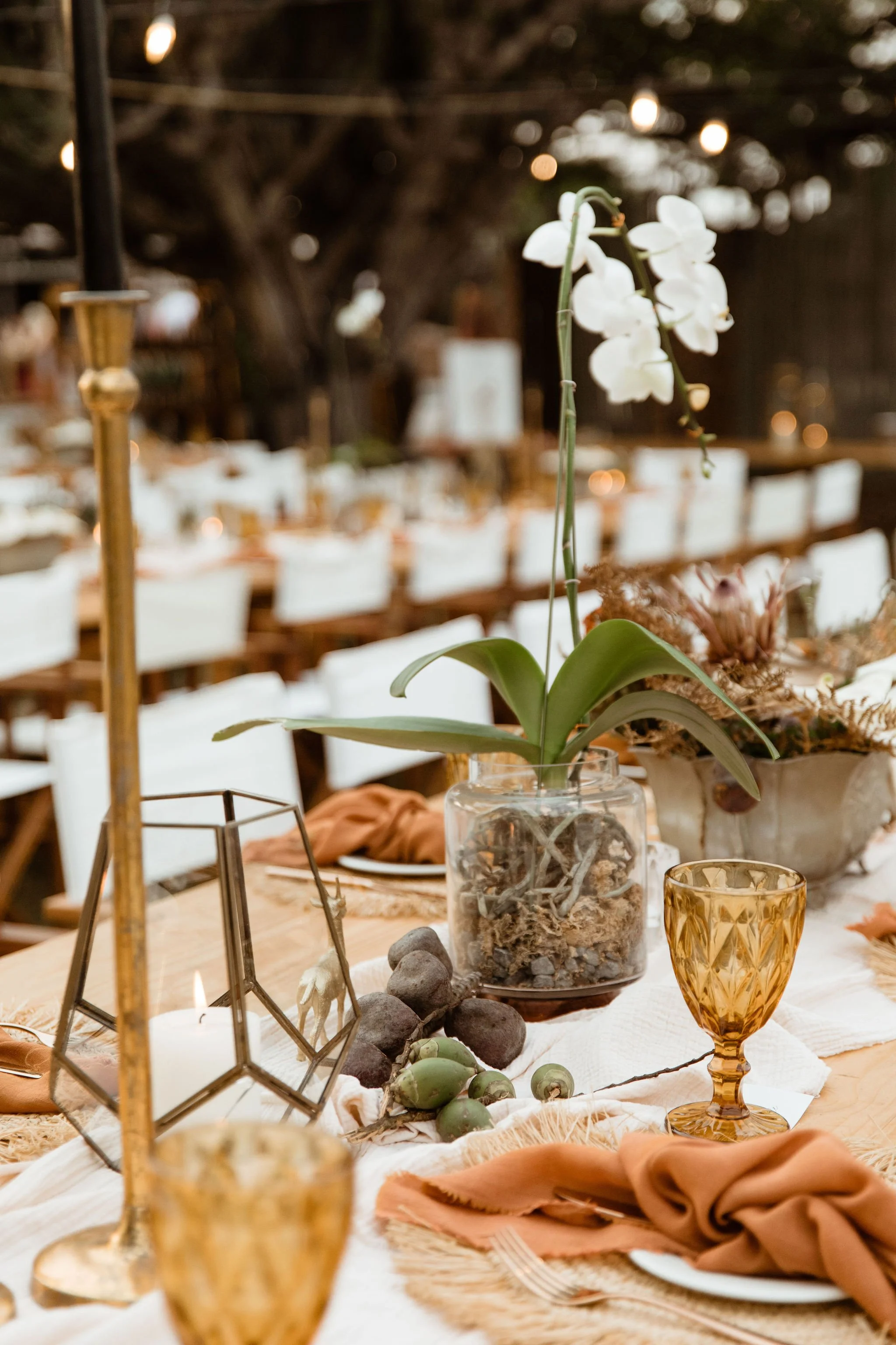 A dining table decorated with a potted white orchid, gold candle holders, amber glasses, and autumnal accents in a cozy room with string lights and wooden chairs.