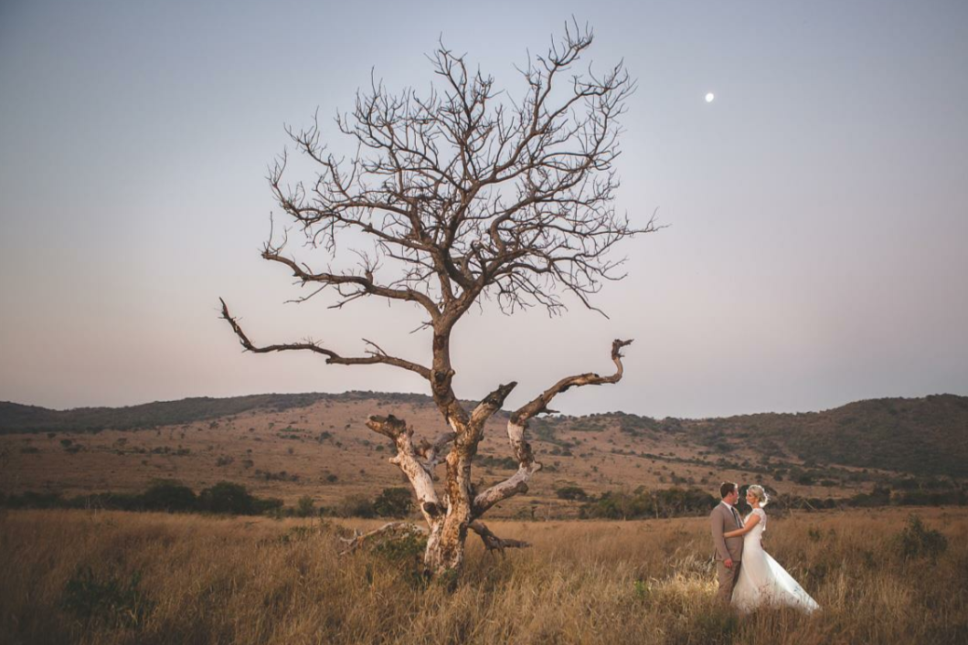 A couple dressed in wedding attire standing in a field with a large, leafless tree in the background at dusk.
