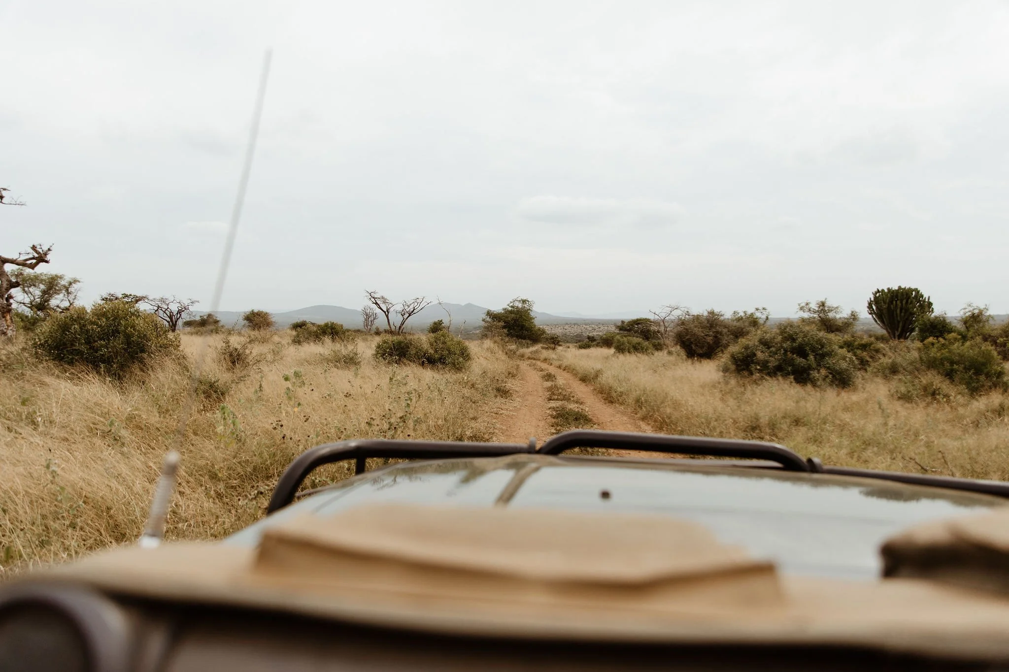 View from inside a vehicle driving on a dirt rural road with dry grass and sparse trees, under a cloudy sky.