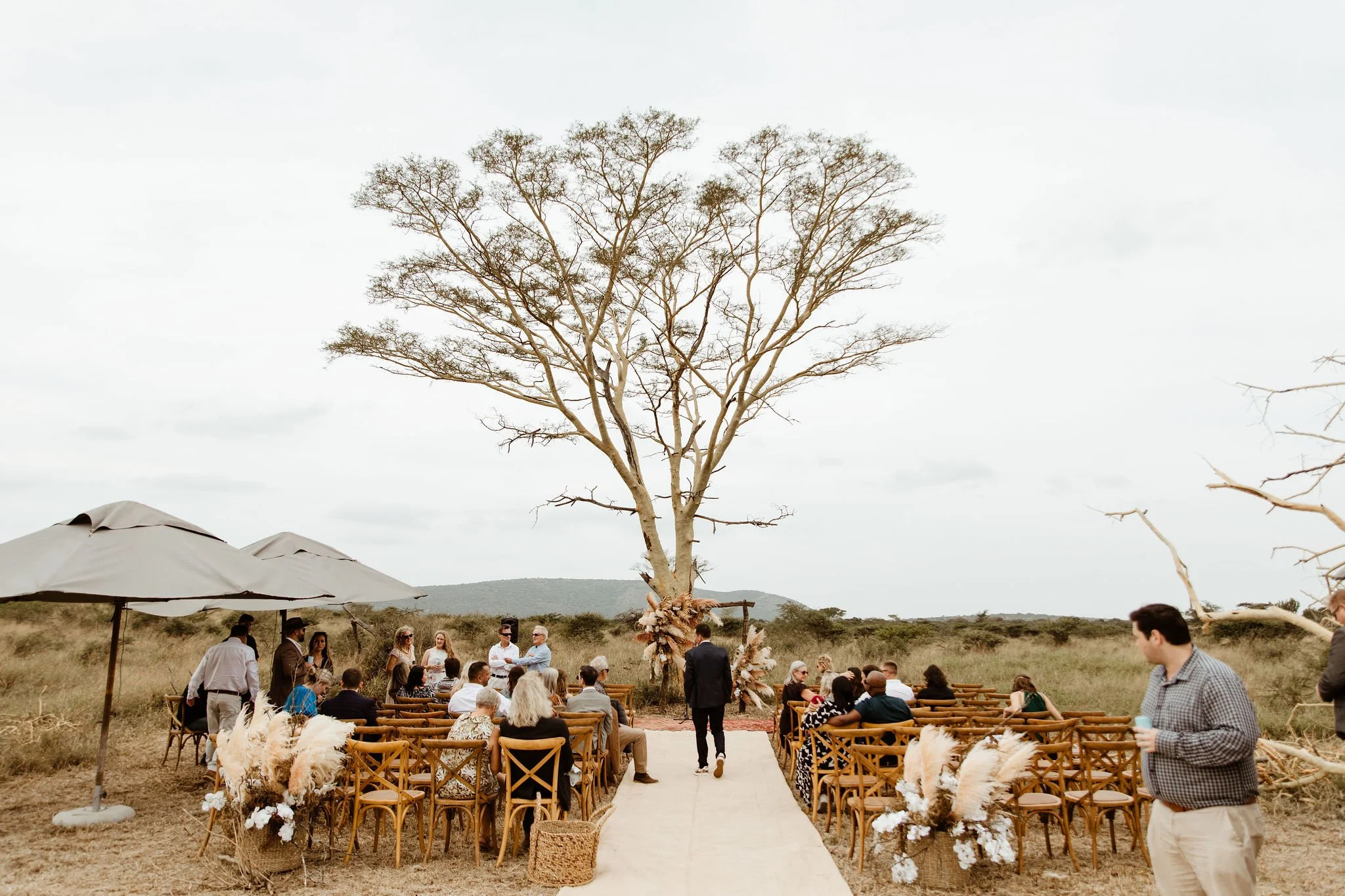 An outdoor wedding ceremony setup with wooden chairs decorated with white flowers facing a large, leafless tree. Guests are seated, and people are standing and mingling. There are some large umbrellas providing shade, and the background features a hi